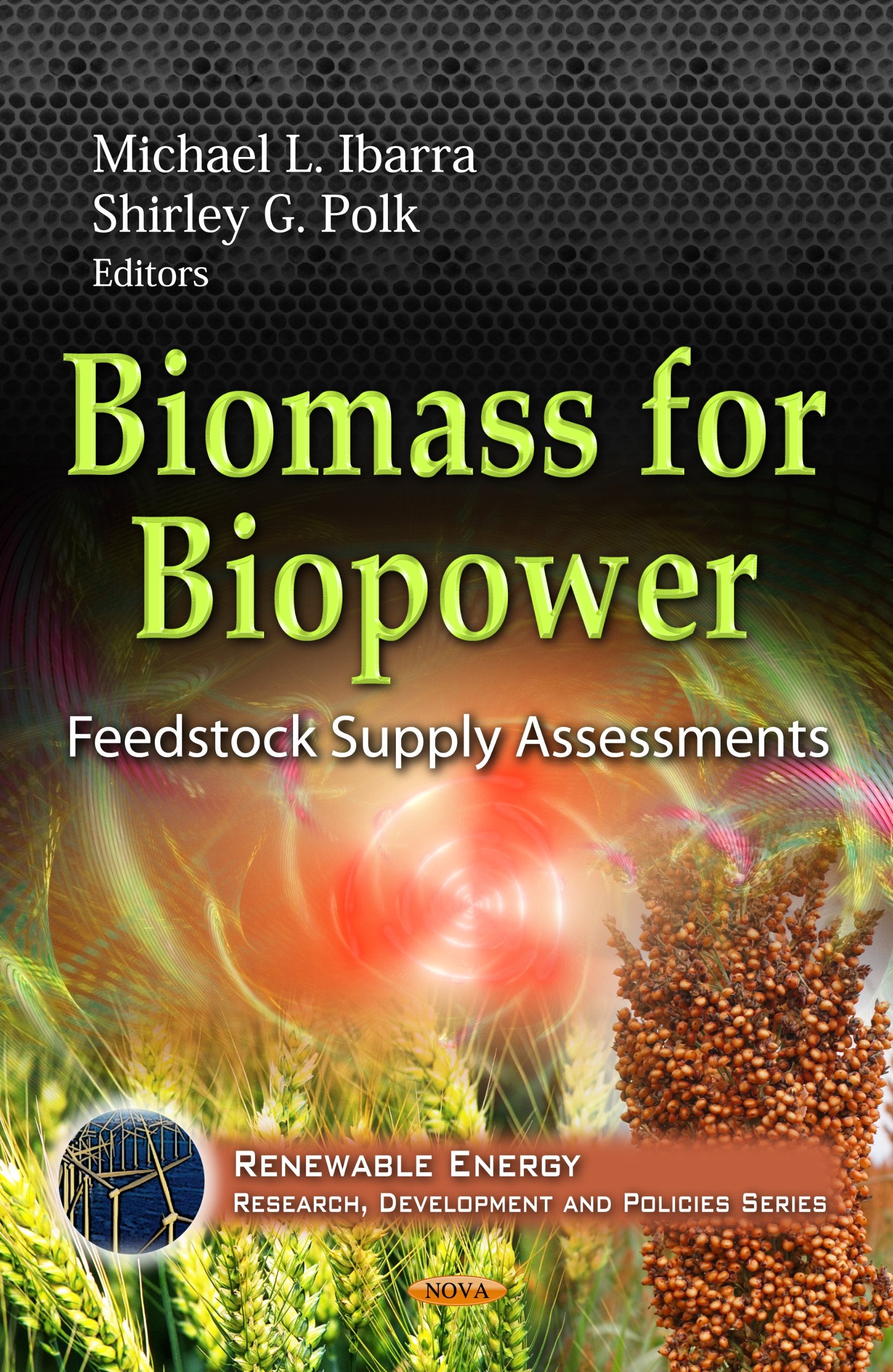 Biomass For Biopower (Renewable Energy: Research, Development And Policies),Used