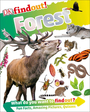 DKfindout! Forest,Used