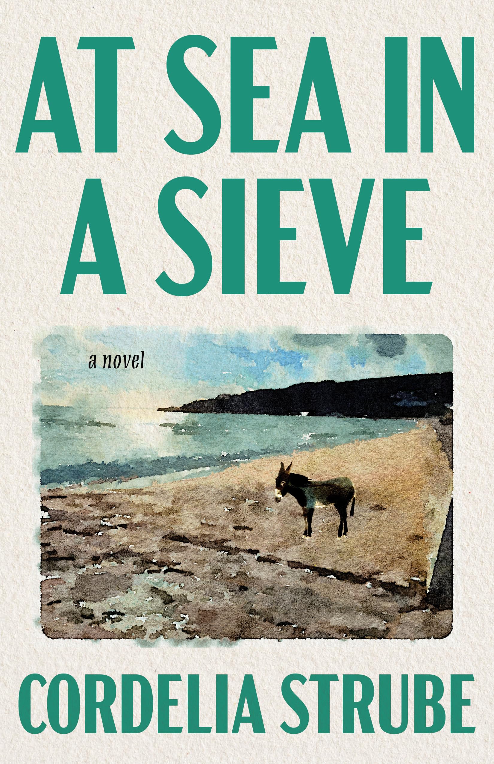 At Sea In A Sieve: A Novel