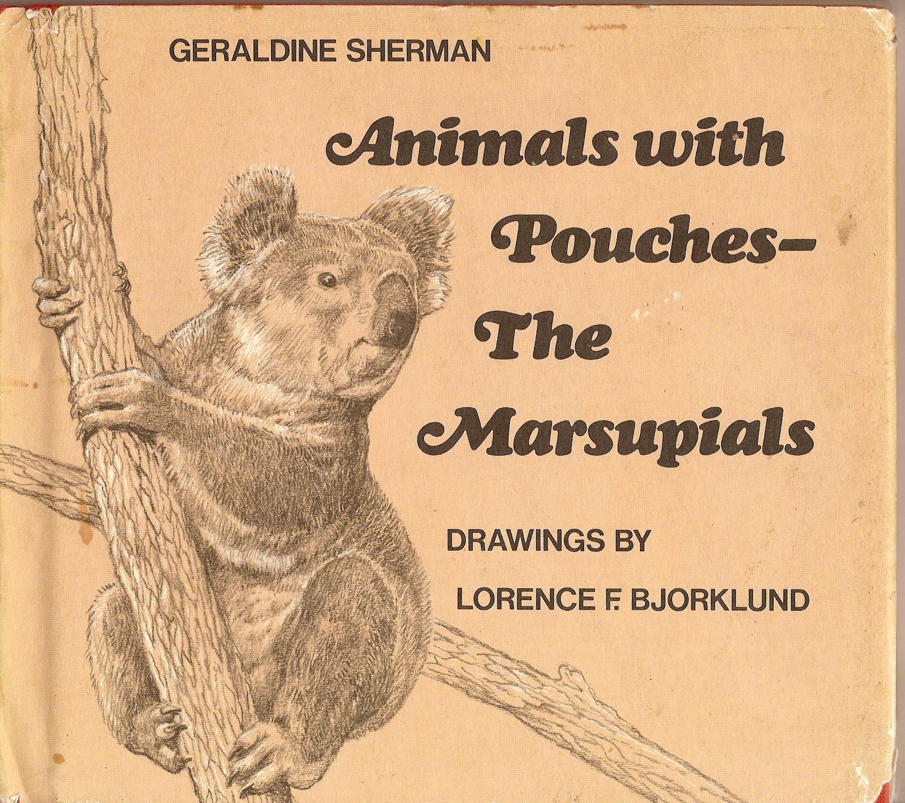 Animals With Pouches: The Marsupials,Used