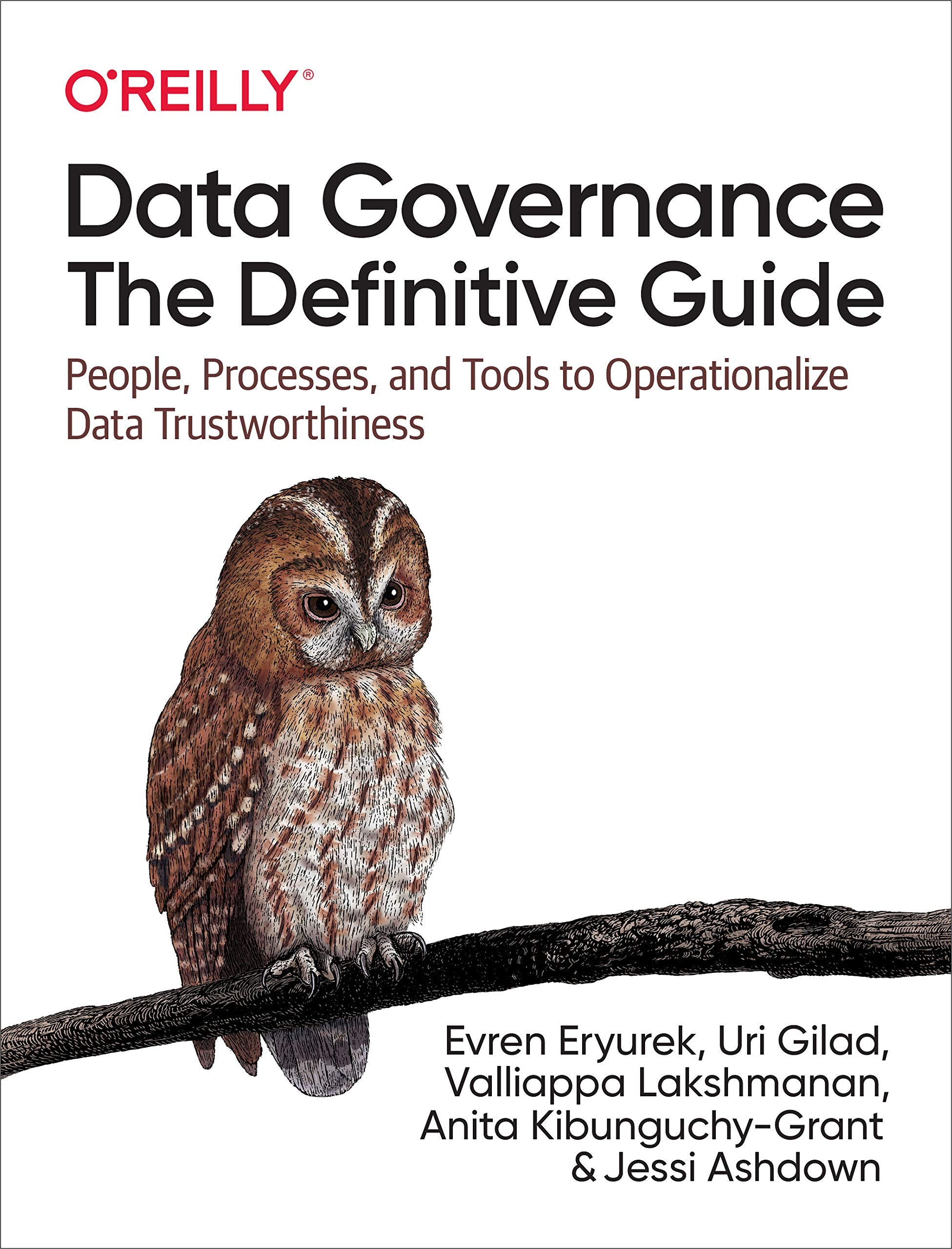 Data Governance: The Definitive Guide: People, Processes, and Tools to Operationalize Data Trustworthiness,Used