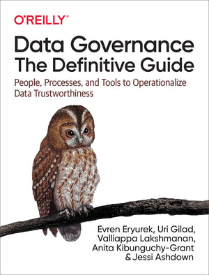 Data Governance: The Definitive Guide: People, Processes, and Tools to Operationalize Data Trustworthiness,Used