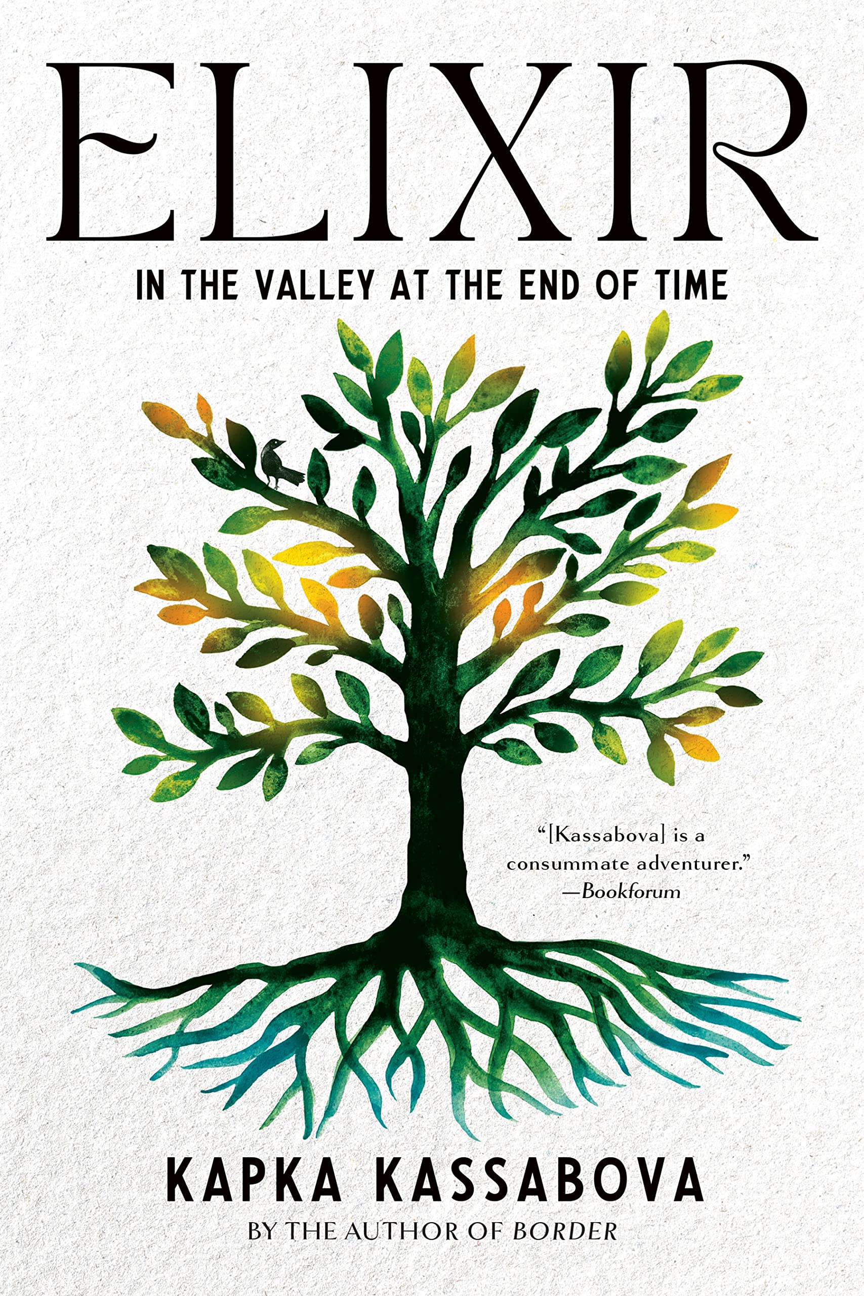 Elixir: In The Valley At The End Of Time,Used