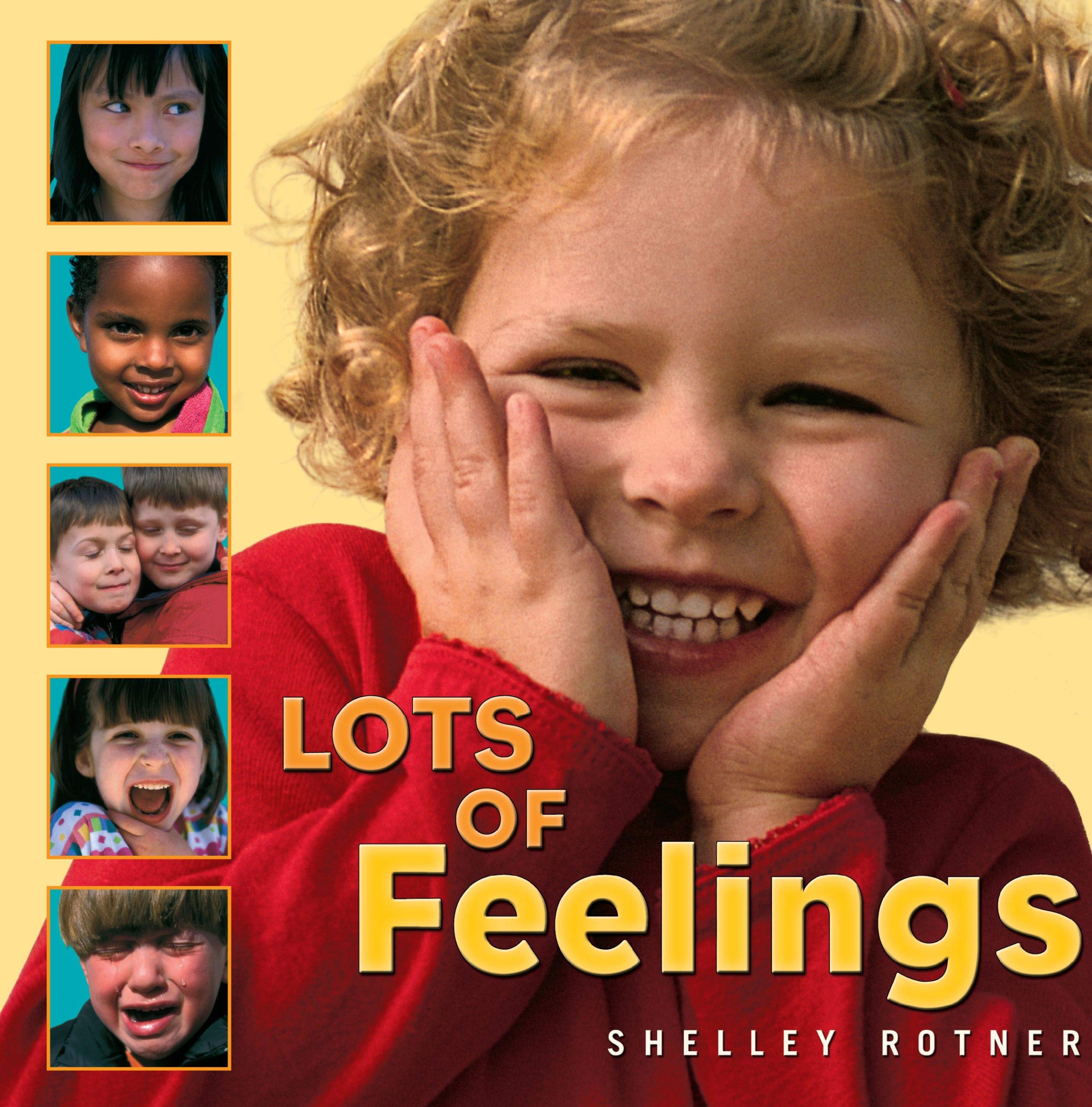 Lots of Feelings (Shelley Rotner's Early Childhood Library),Used