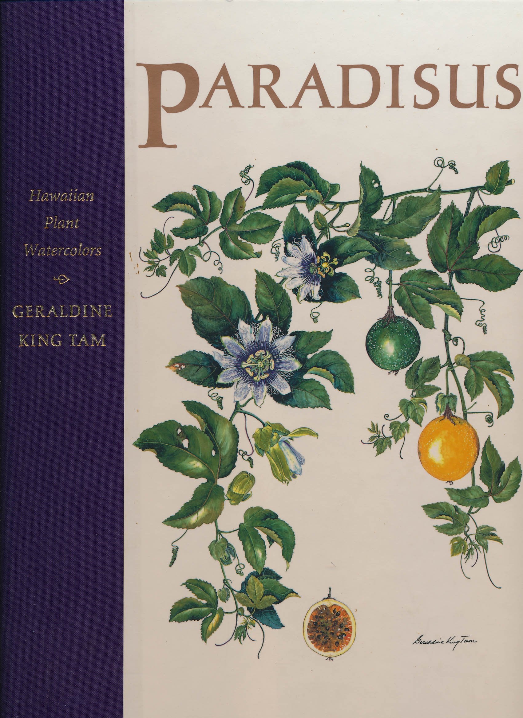 Paradisus: Hawaiian Plant Watercolors by Geraldine King Tam,Used
