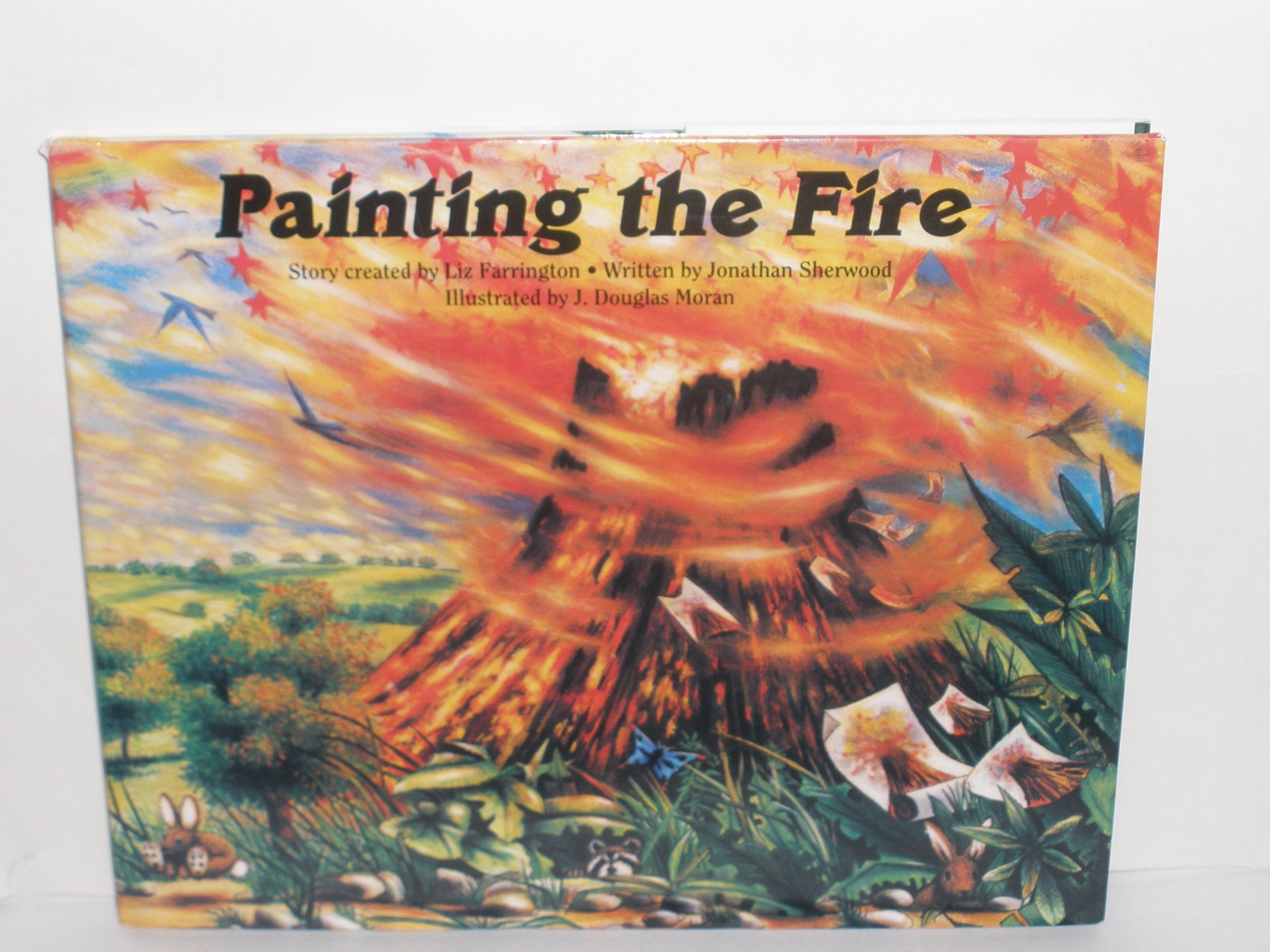 Painting the Fire (Emotional Literacy),Used