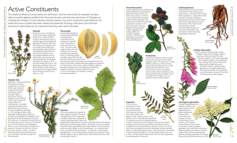 Dk Encyclopedia Of Herbal Medicine: 550 Herbs Loose Leaves And Remedies For Common Ailments
