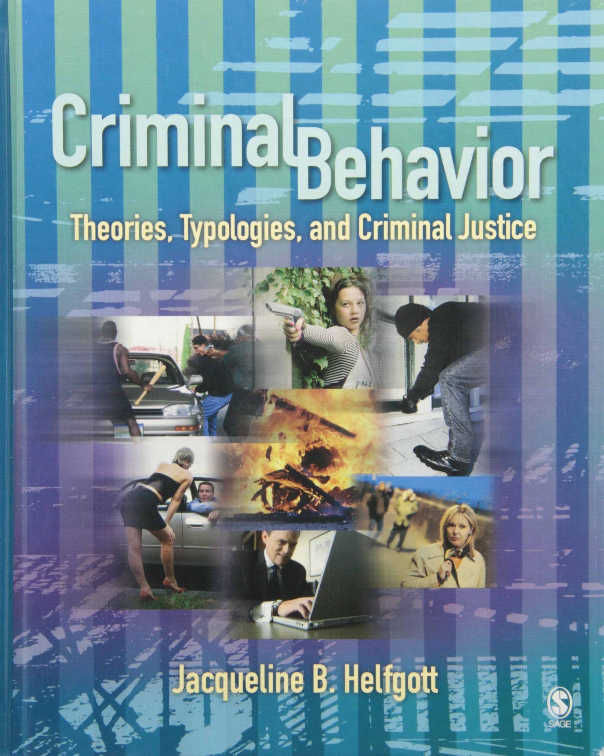 Criminal Behavior: Theories, Typologies and Criminal Justice,Used