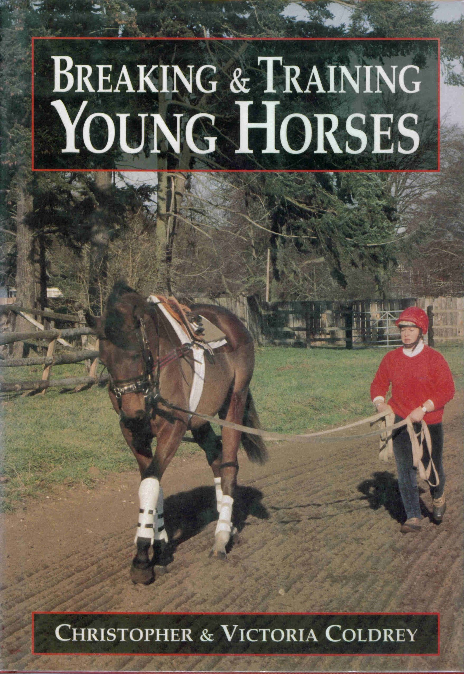 Breaking and Training Young Horses,Used