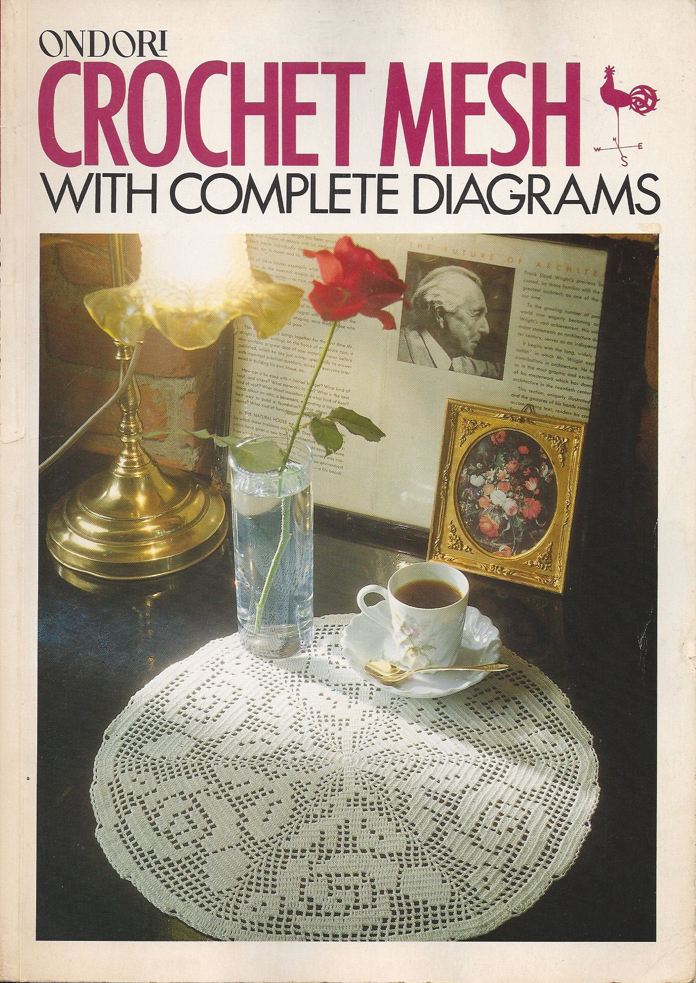 Crochet Mesh With Complete Diagrams,Used