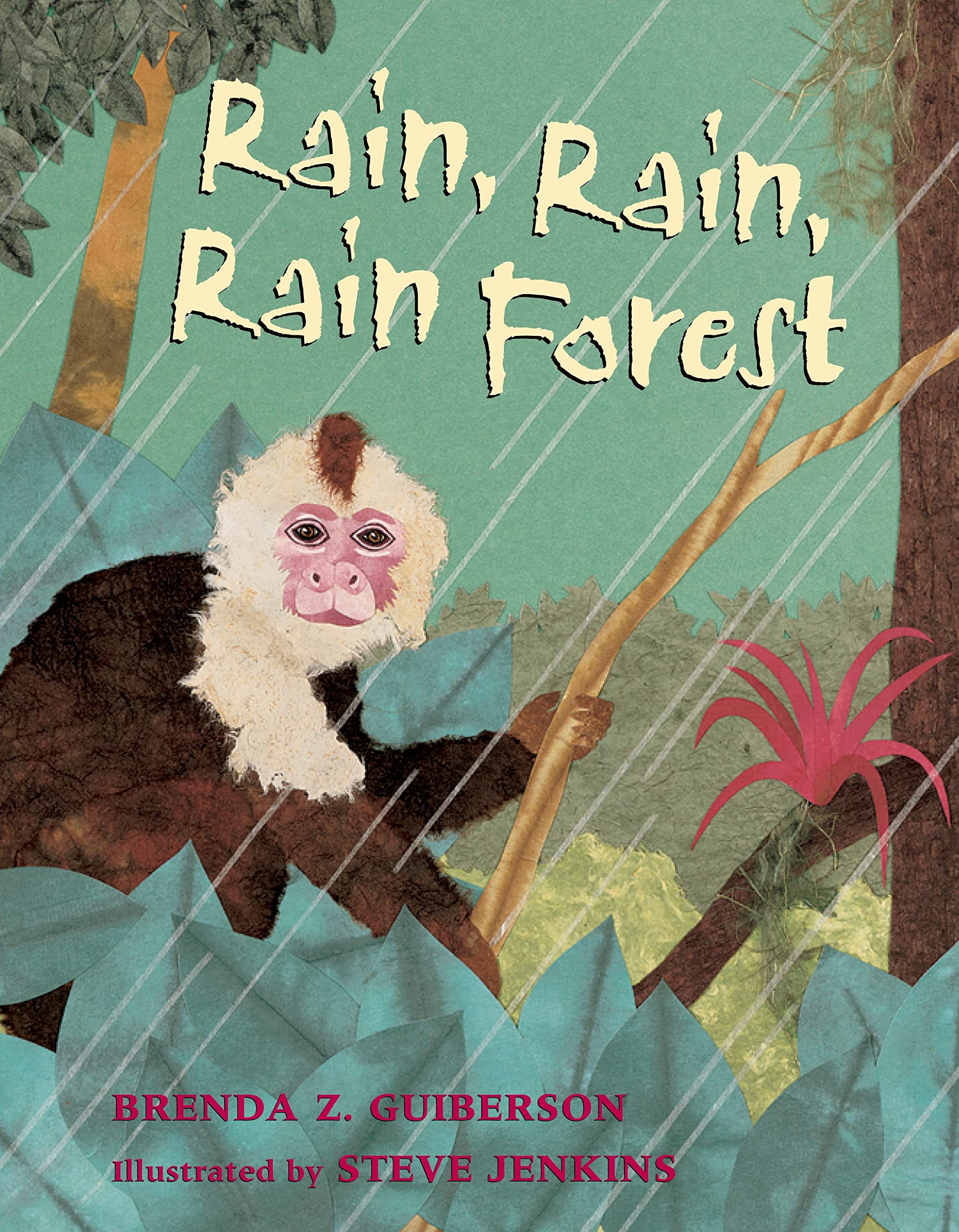Rain, Rain, Rain Forest,Used