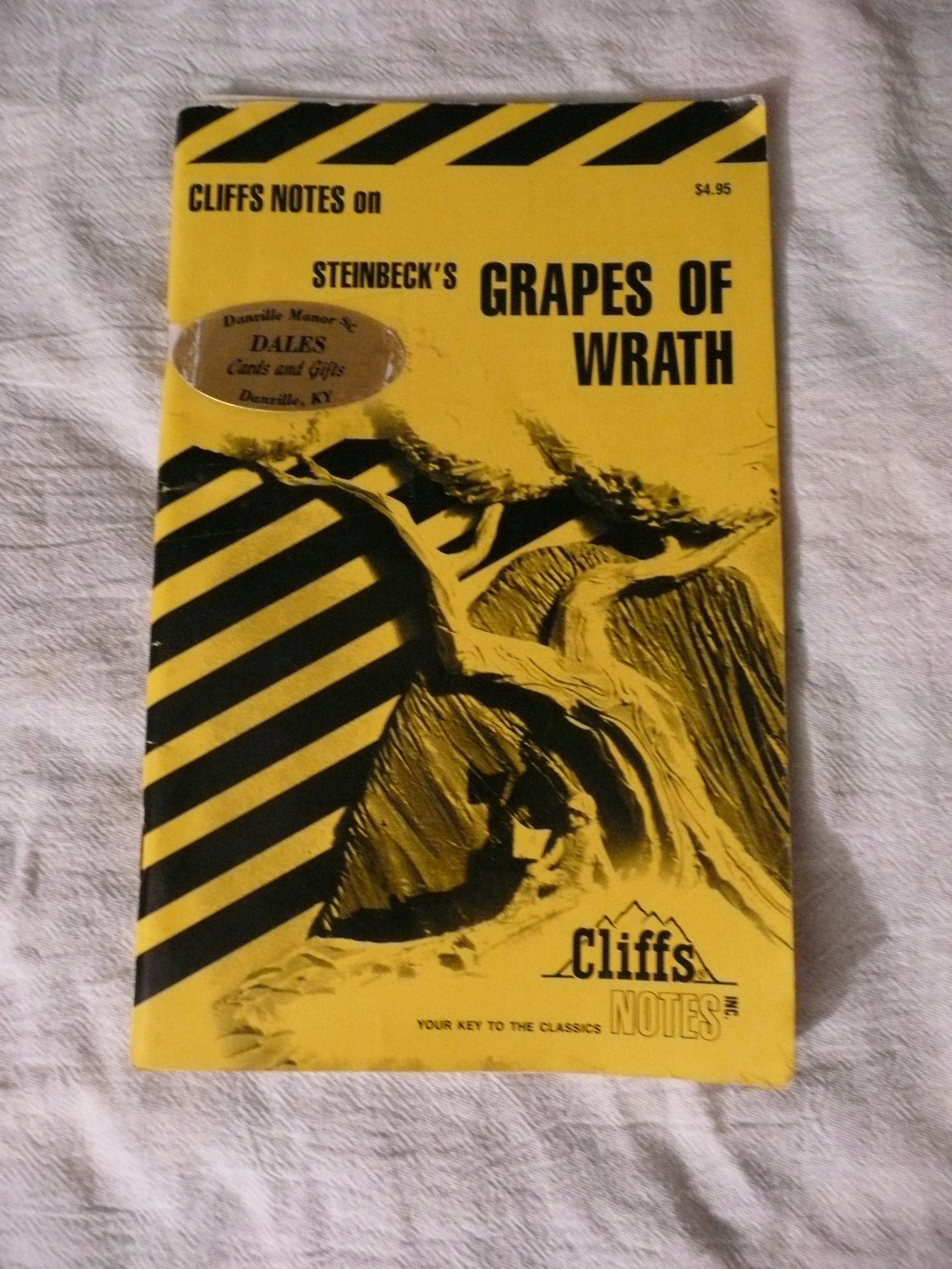 Twain's Huckleberry Finn (Cliffs Notes),Used