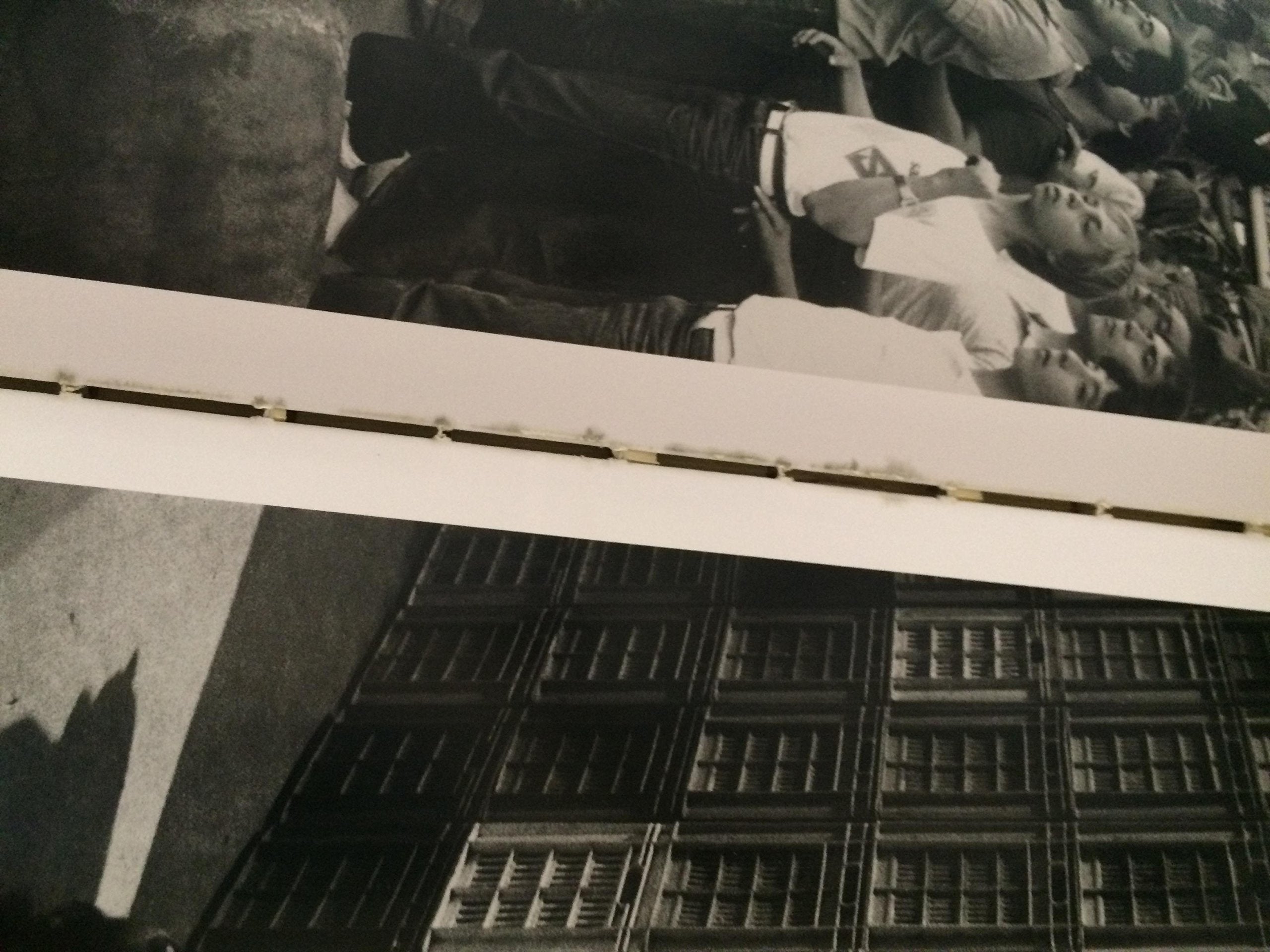 Letizia Battaglia: Passion, Justice, Freedom : Photographs Of Sicily,New