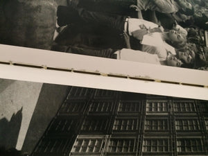 Letizia Battaglia: Passion, Justice, Freedom : Photographs Of Sicily,New