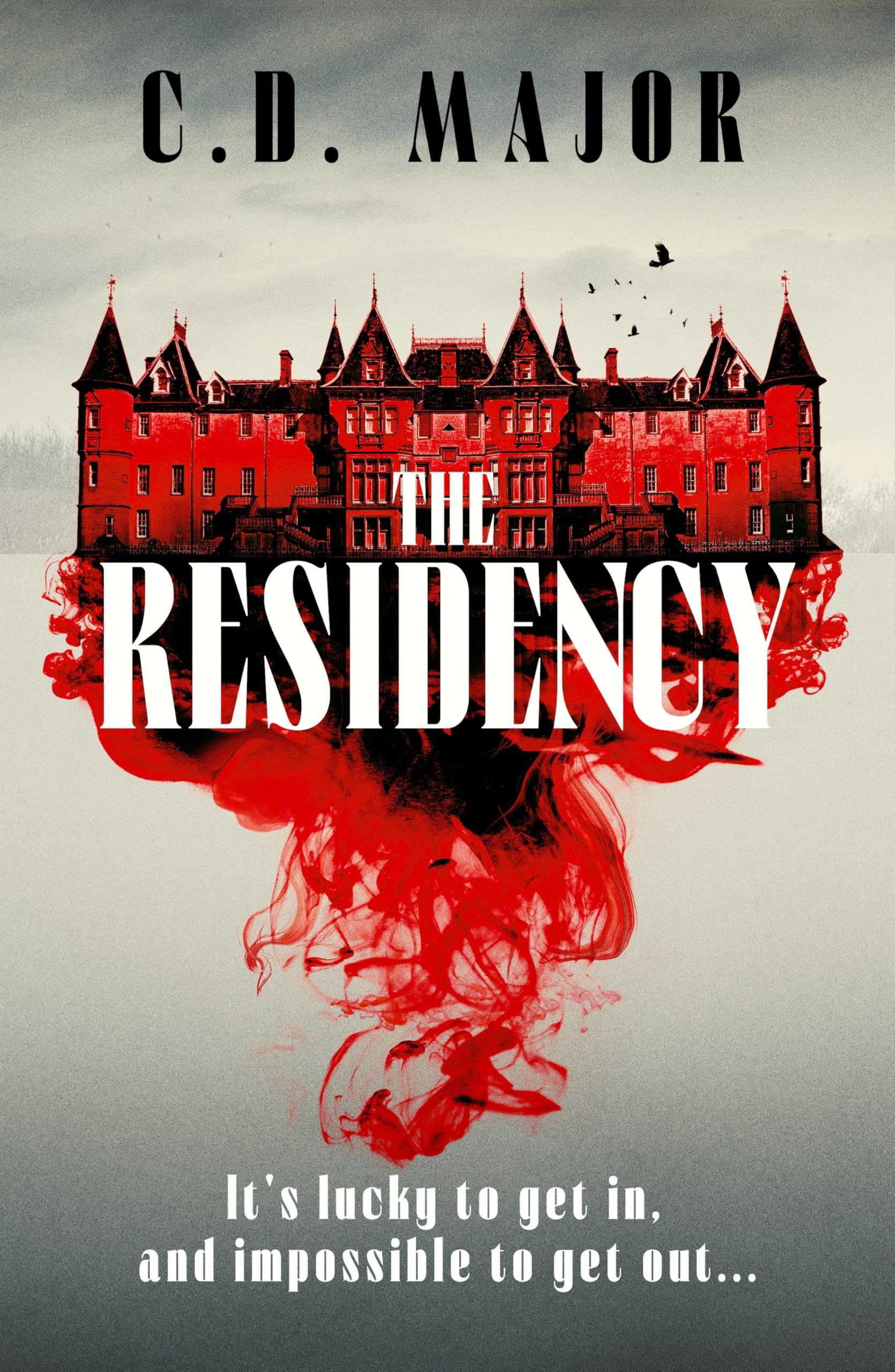 The Residency: A Gothic Suspense Novel Set On A Remote Scottish Island That Will Keep You Up All Night