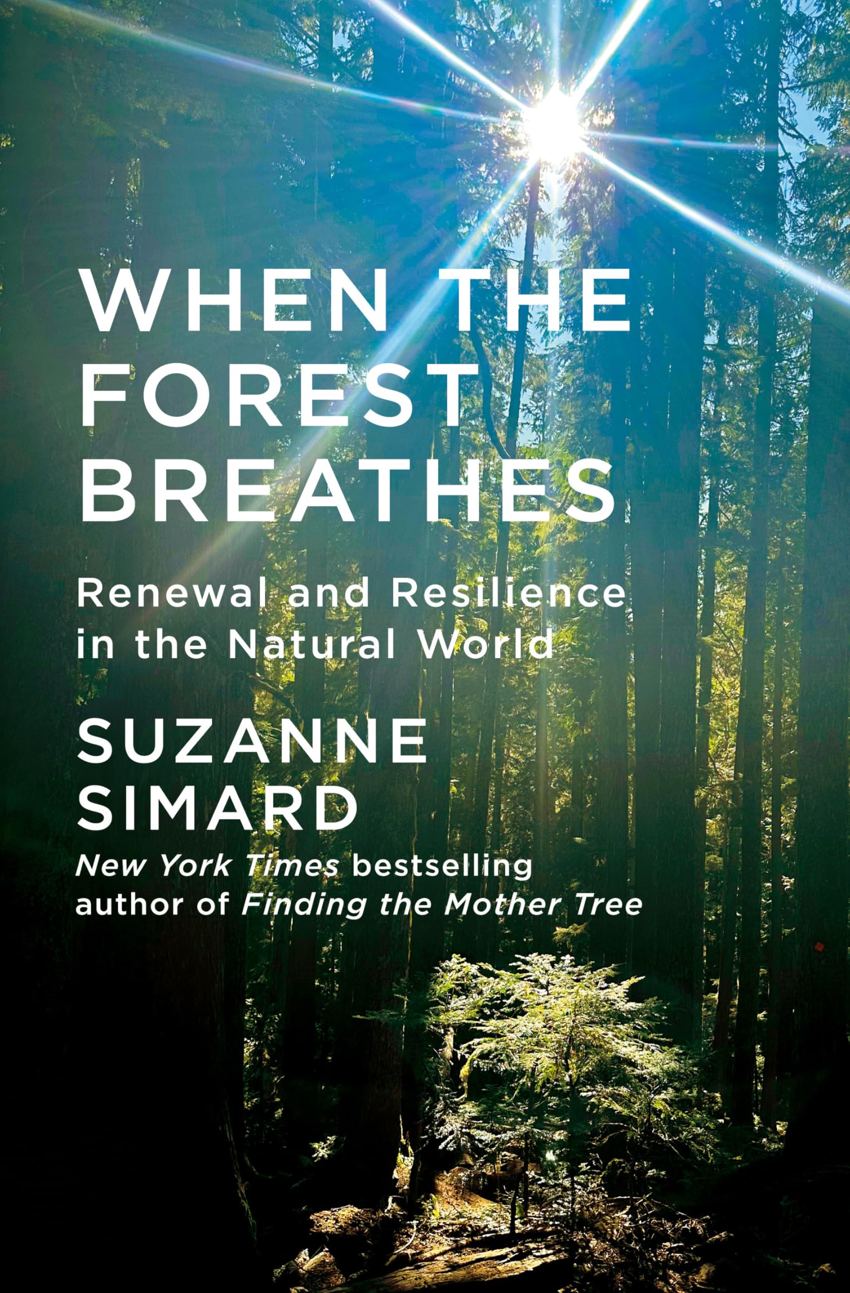 When The Forest Breathes: Renewal And Resilience In The Natural World
