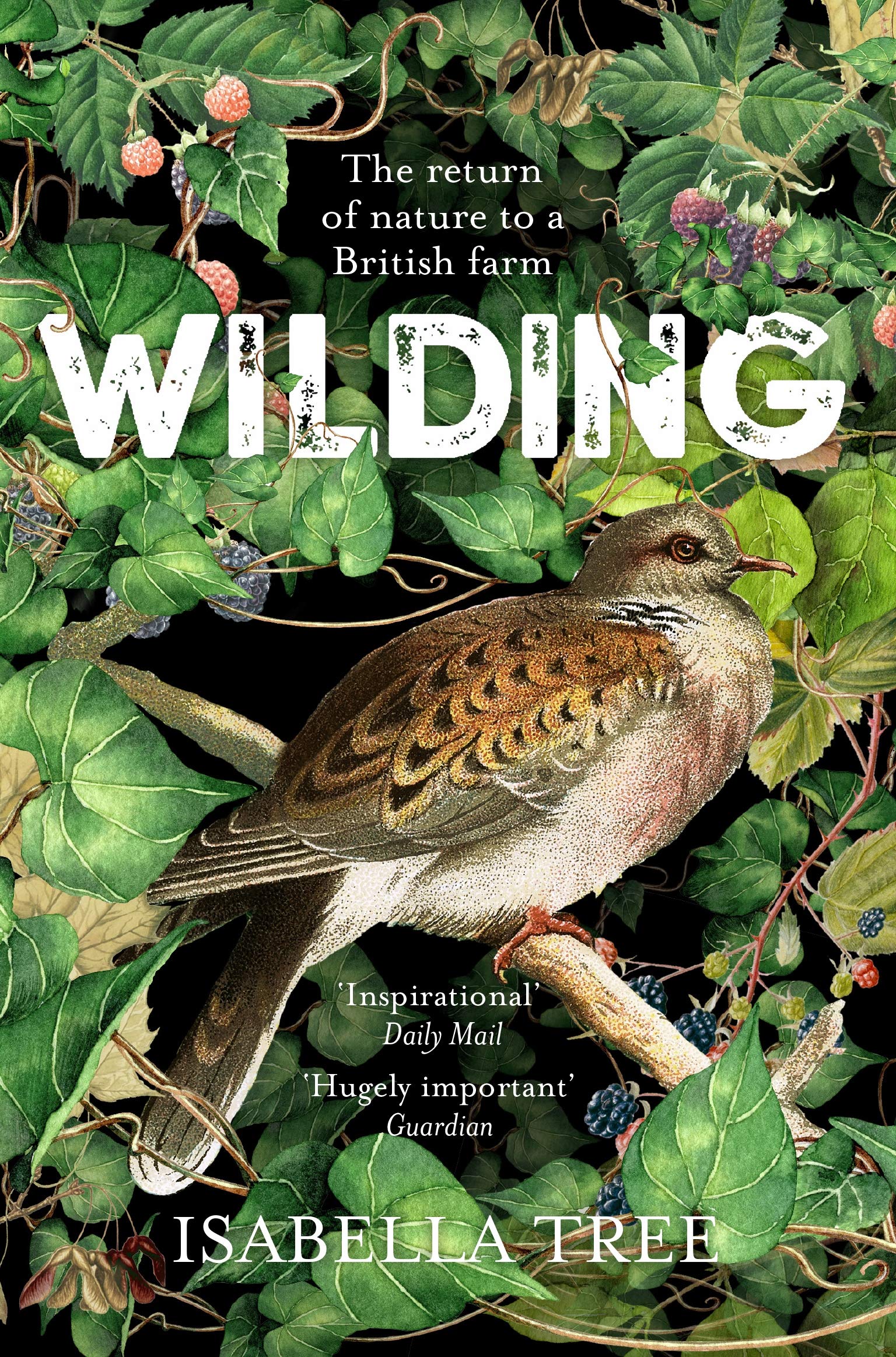 Wilding: The Return Of Nature To A British Farm