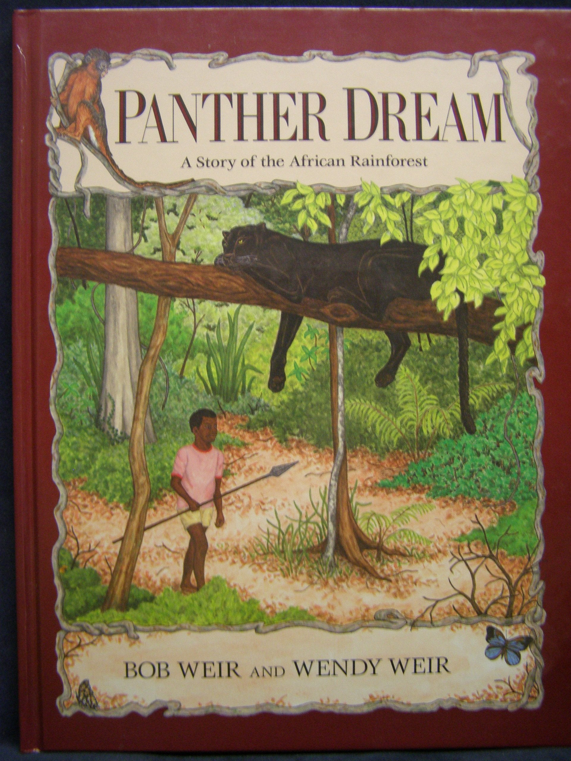 Panther Dreams: A Story Of The African Rainforest,Used