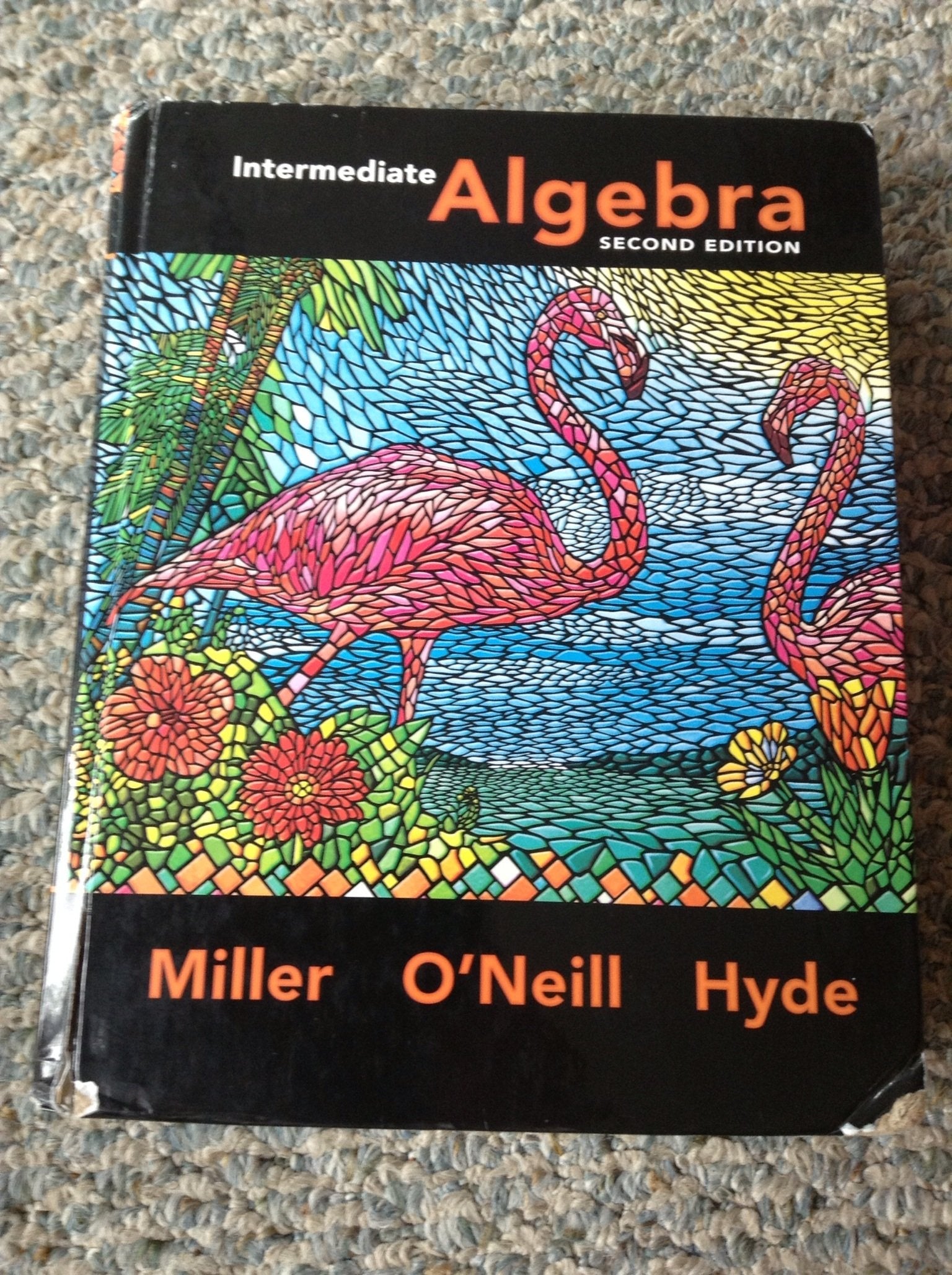 Intermediate Algebra (alt ed. hardcover),Used
