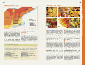 Fodor's New England: with the Best Fall Foliage Drives & Scenic Road Trips (Fullcolor Travel Guide),Used