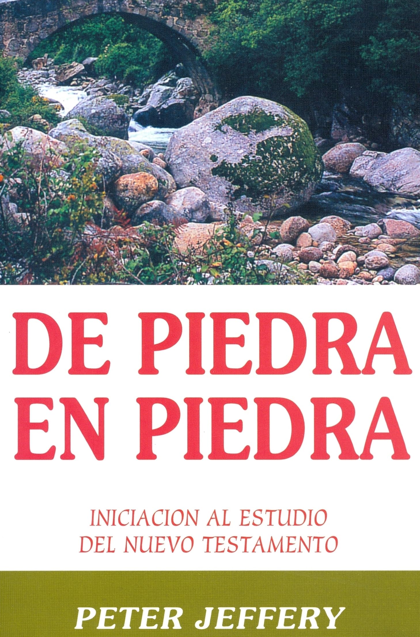 De Piedra En Piedra: Iniciacion Al Estudio Del Nuevo Testamento (Spanish Edition),Used