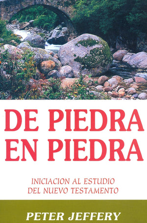 De Piedra En Piedra: Iniciacion Al Estudio Del Nuevo Testamento (Spanish Edition),Used