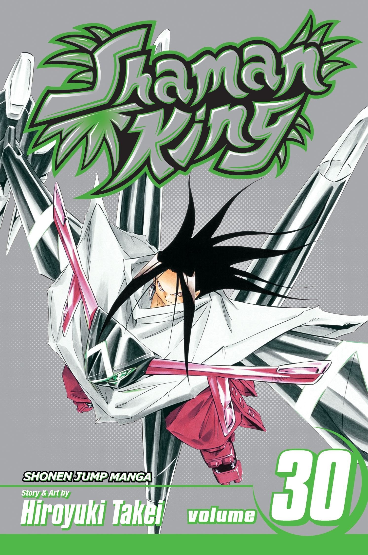 Shaman King, Vol. 30