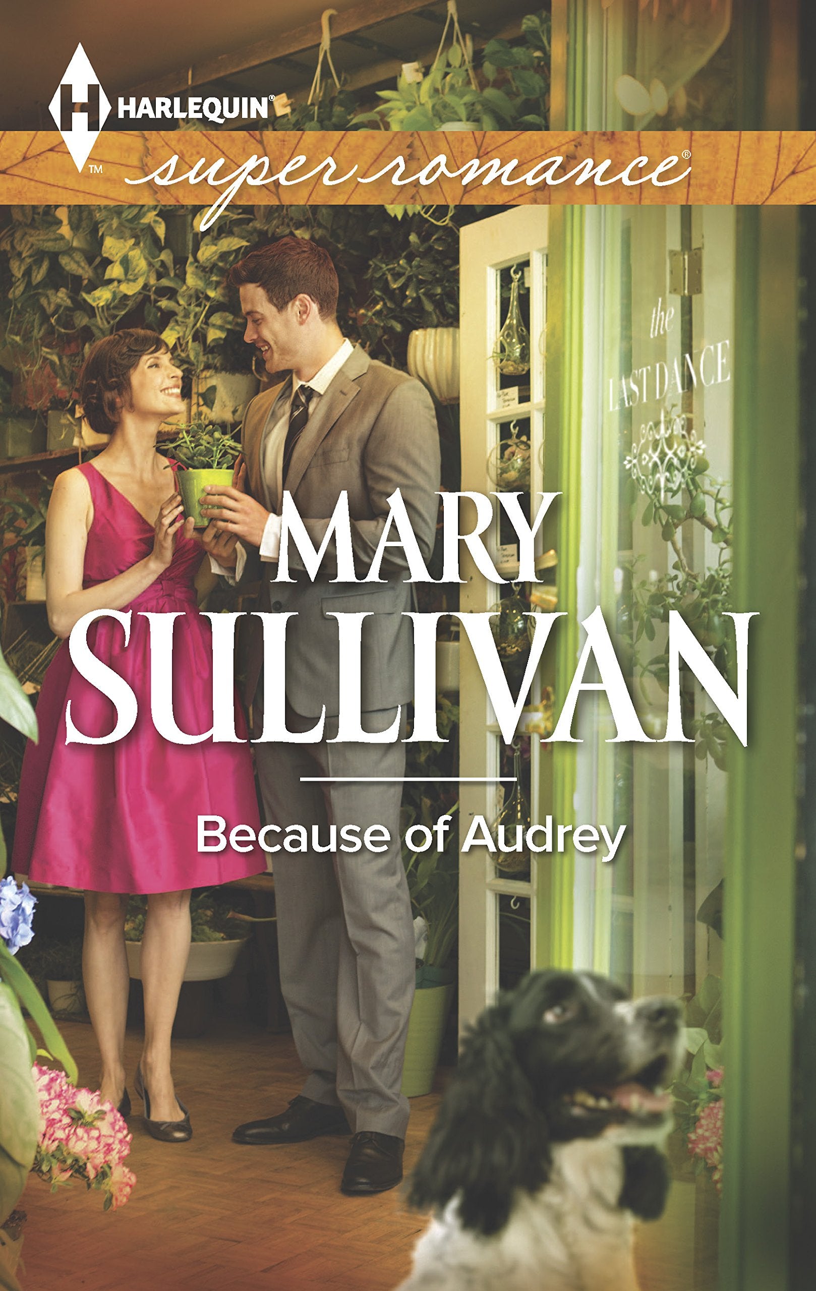 Because of Audrey (Harlequin Superromance),Used