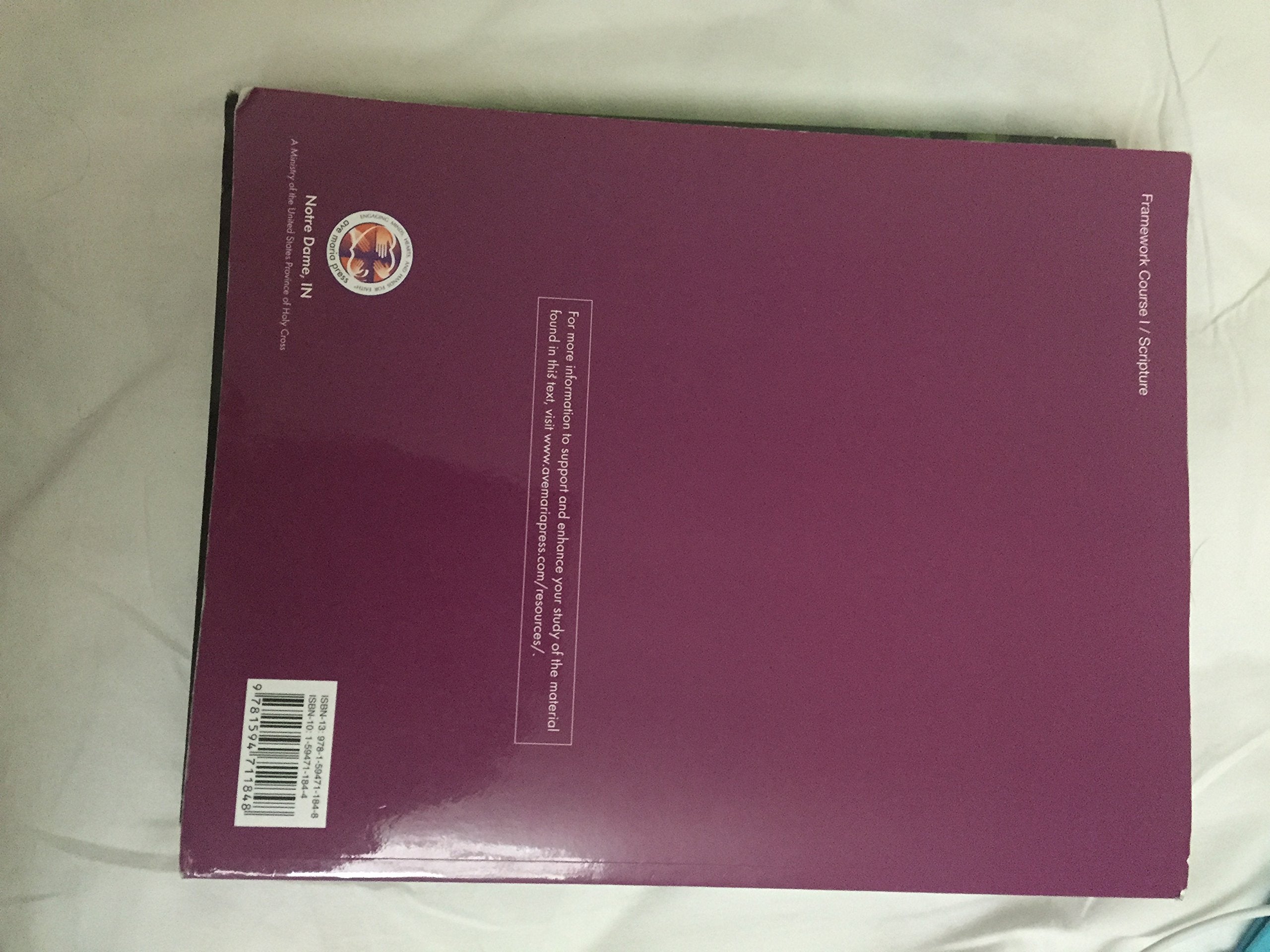 Jesus Christ: God's Revelation to the World,Used