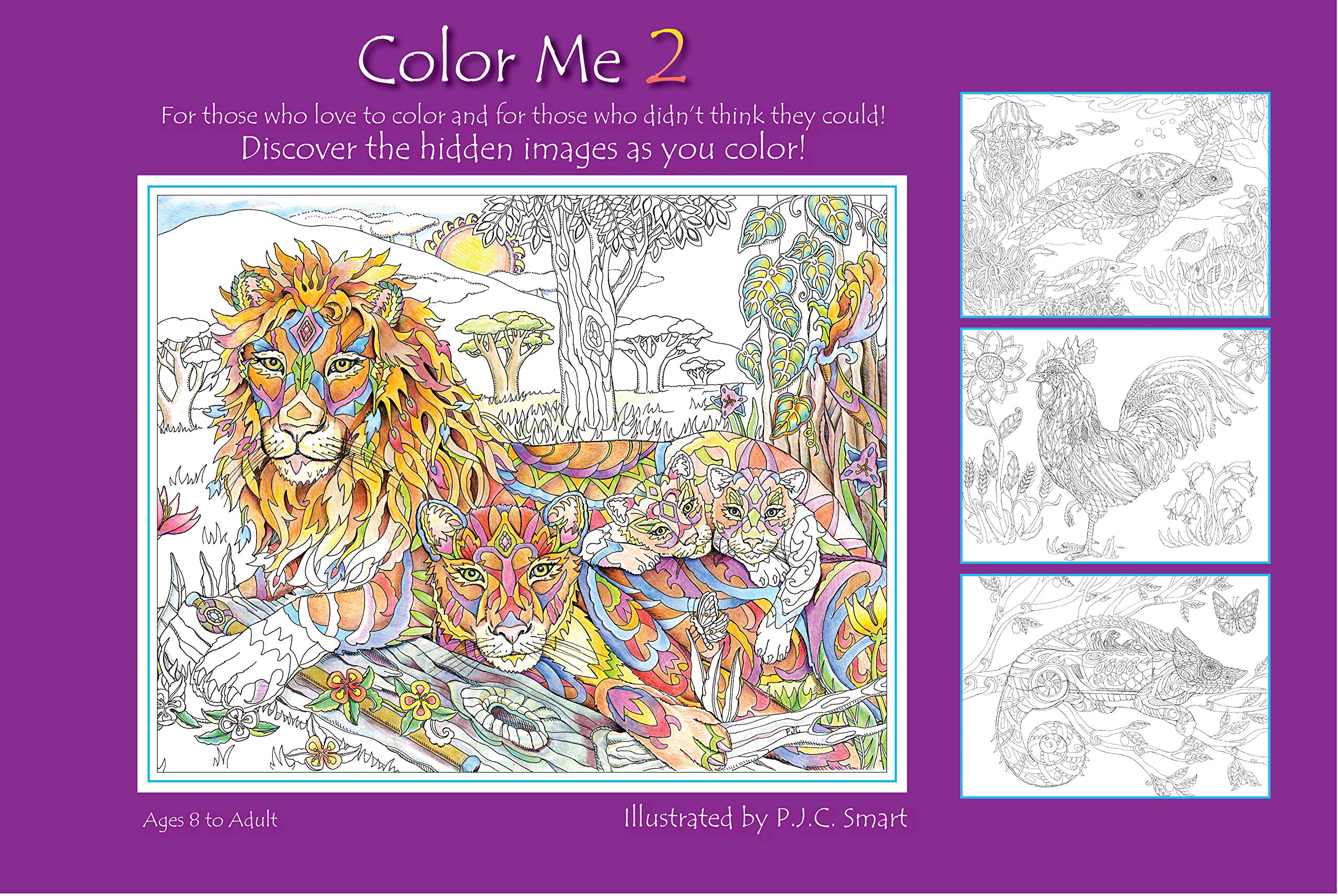 Color Me 2,Used