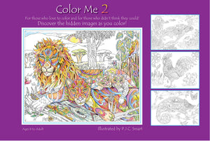 Color Me 2,Used