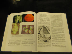Plant Pathology,New