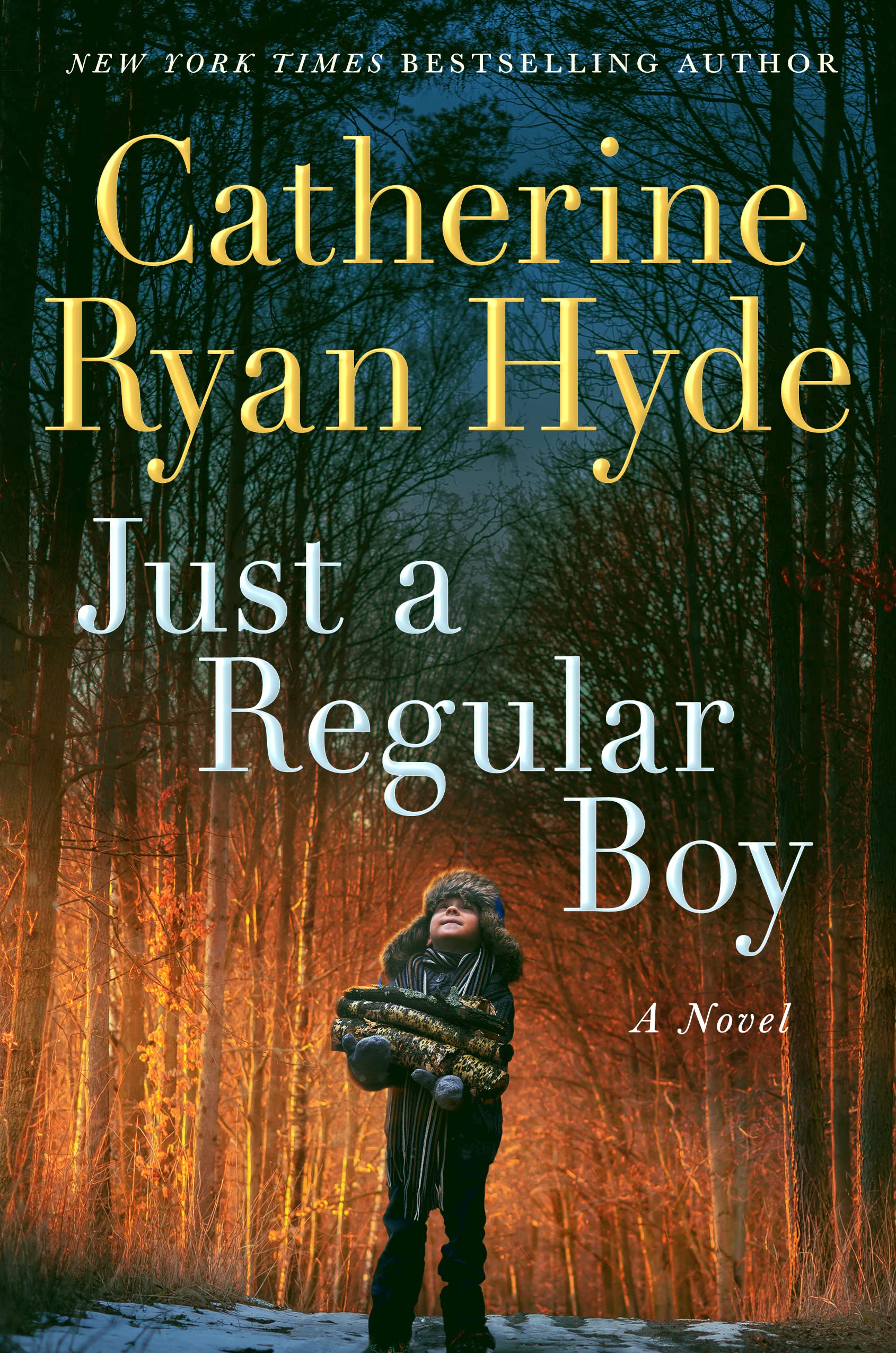 Just A Regular Boy: A Novel,Used