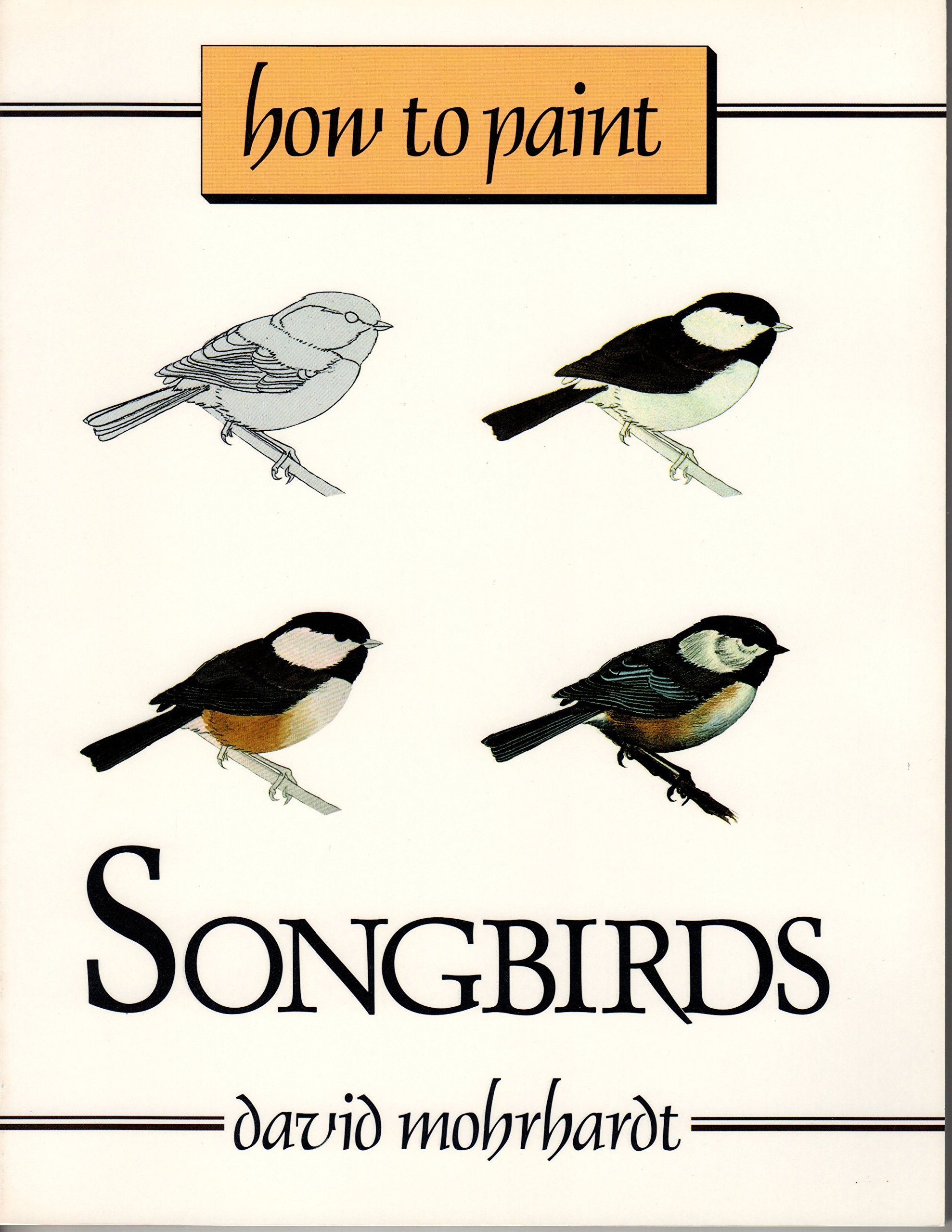 How To Paint Songbirds,Used