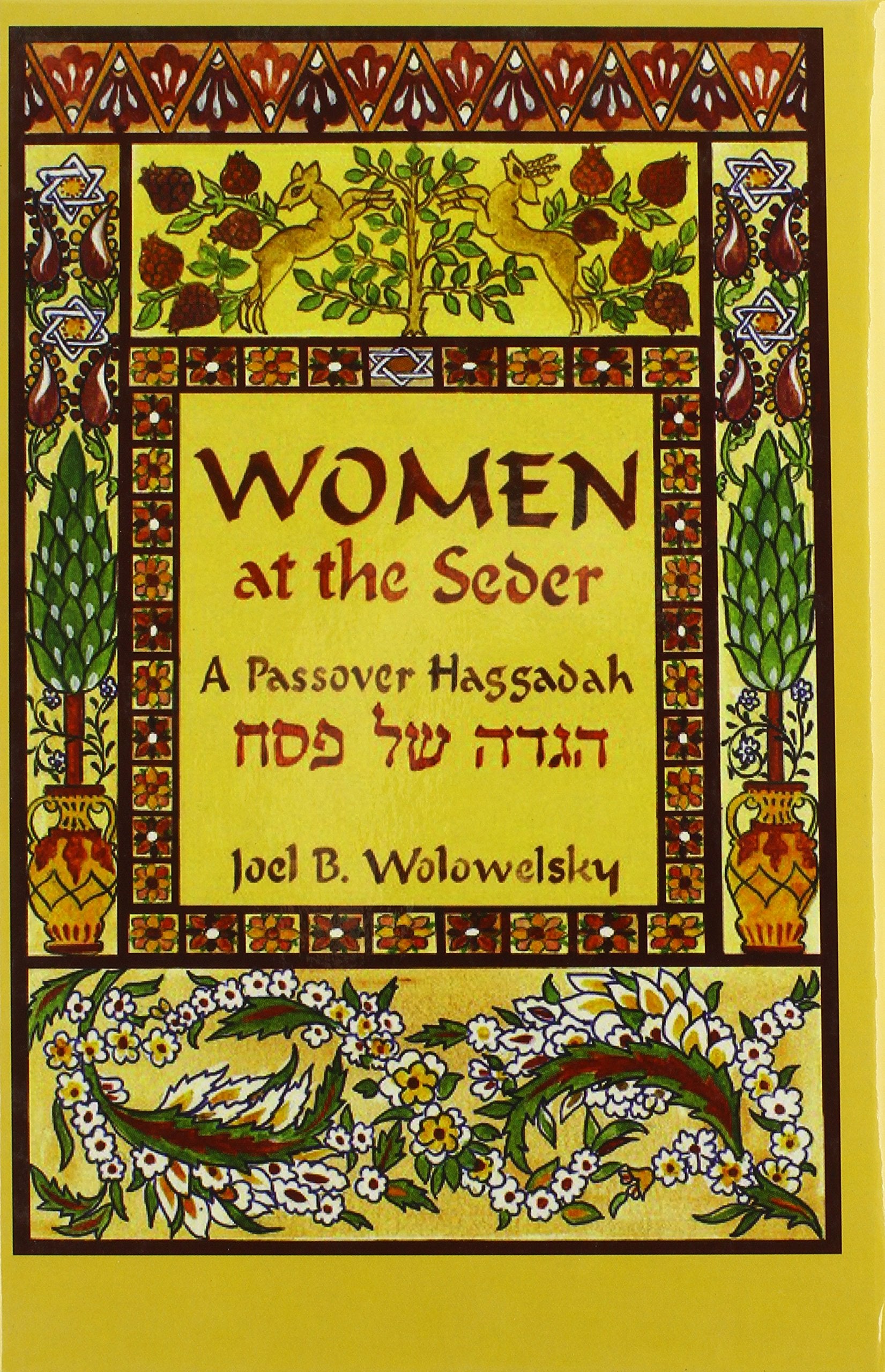 Women At The Seder: A Passover Haggadah (English and Hebrew Edition),Used