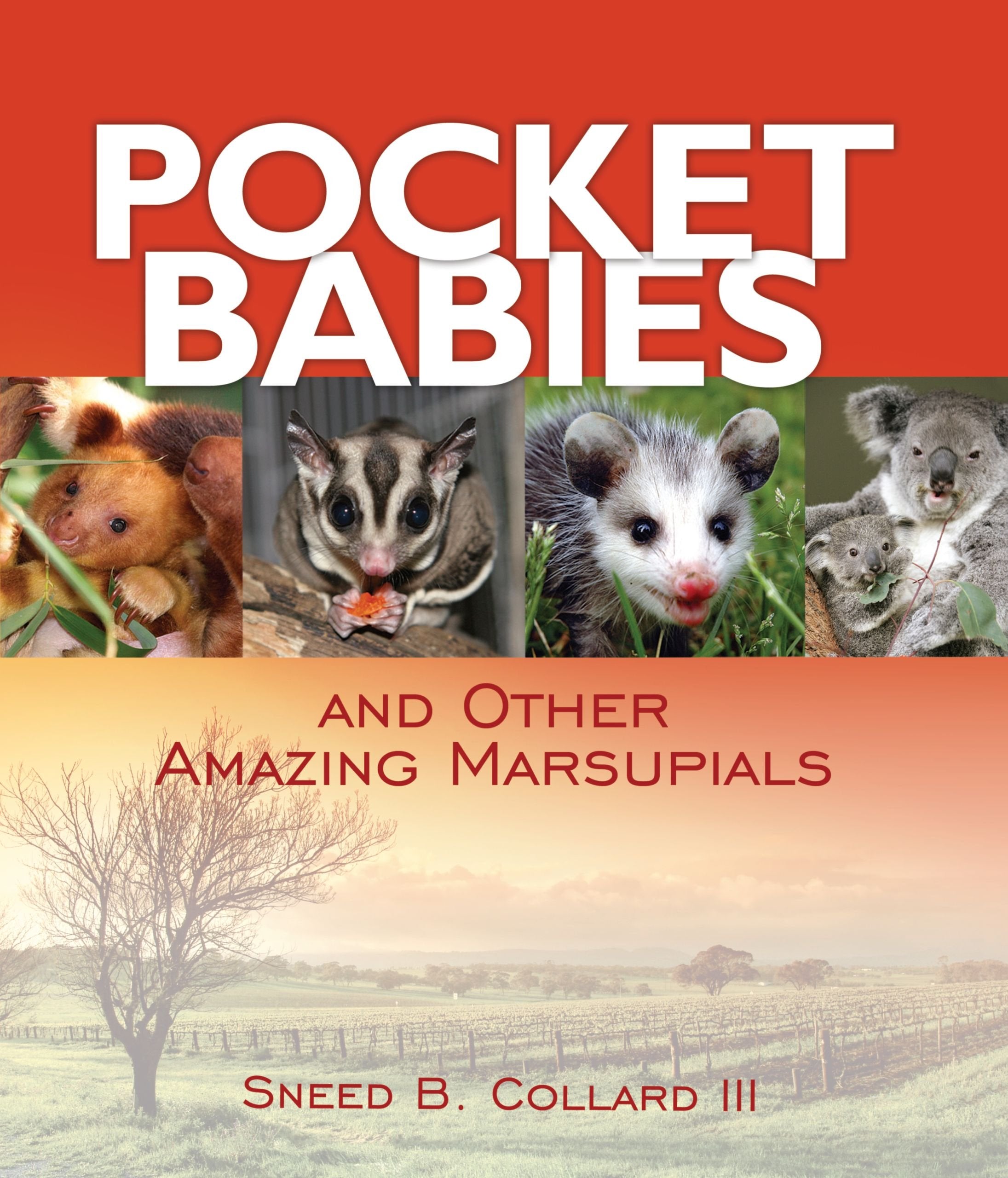 Pocket Babies (and Other Amazing Marsupials),Used
