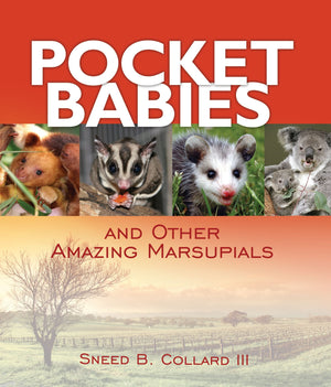Pocket Babies (and Other Amazing Marsupials),Used