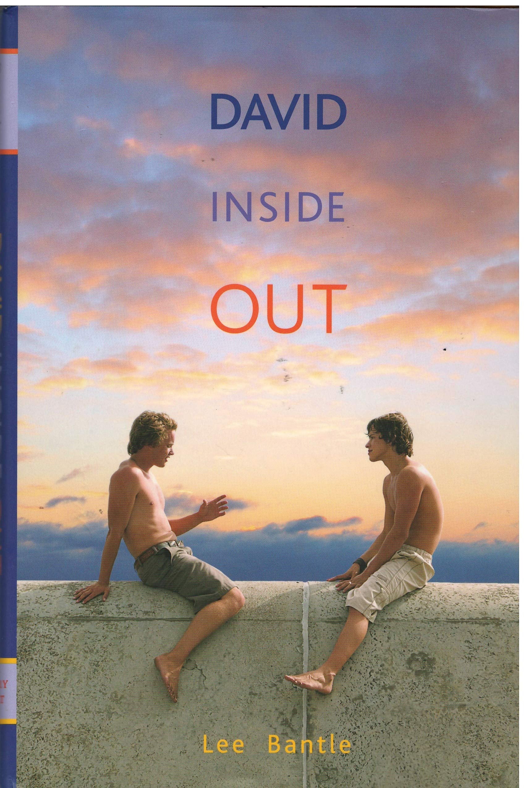 David Inside Out,Used