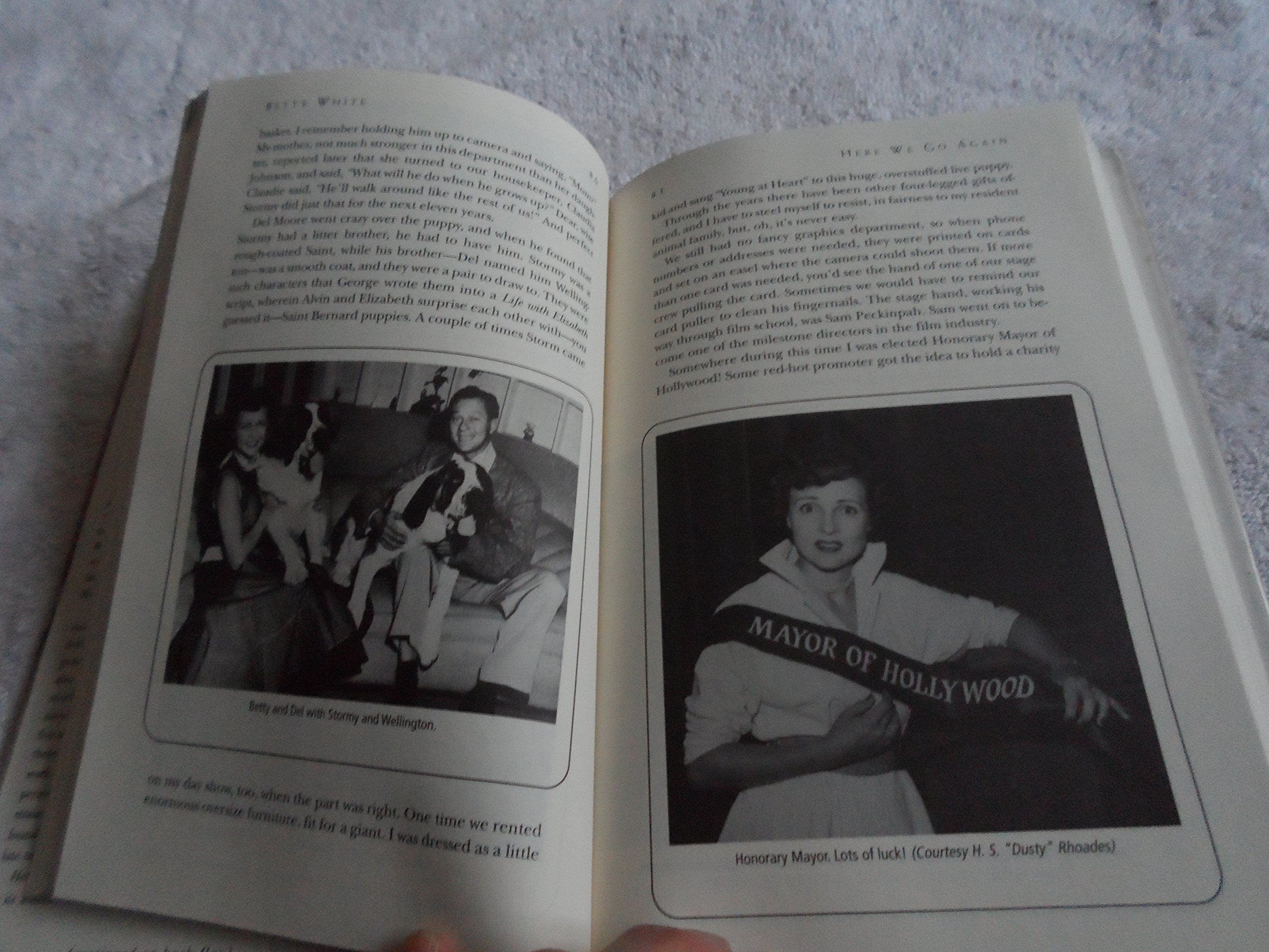 Here We Go Again: My Life In Televison,New