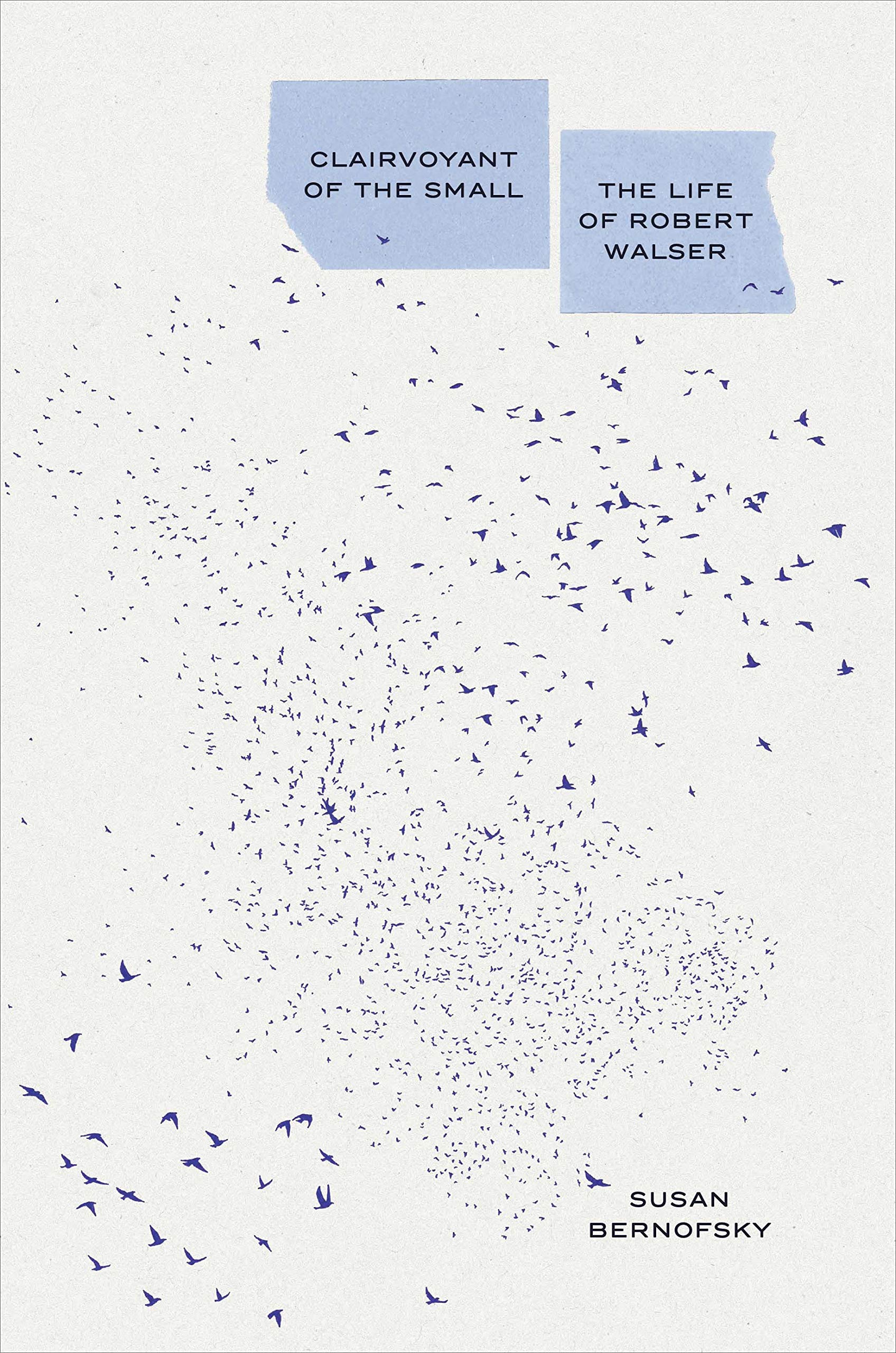 Clairvoyant Of The Small: The Life Of Robert Walser,New