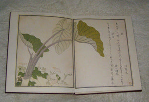 Songs Of The Garden (Japanese And English Edition),Used