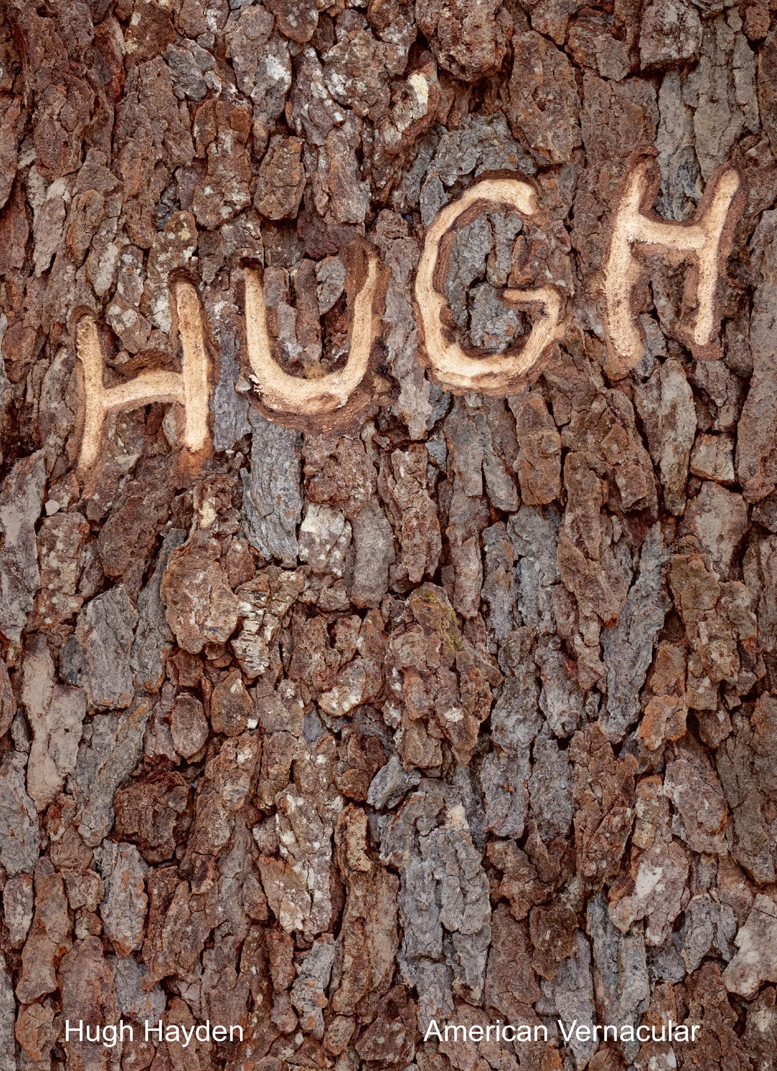 Hugh Hayden: American Vernacular,Used