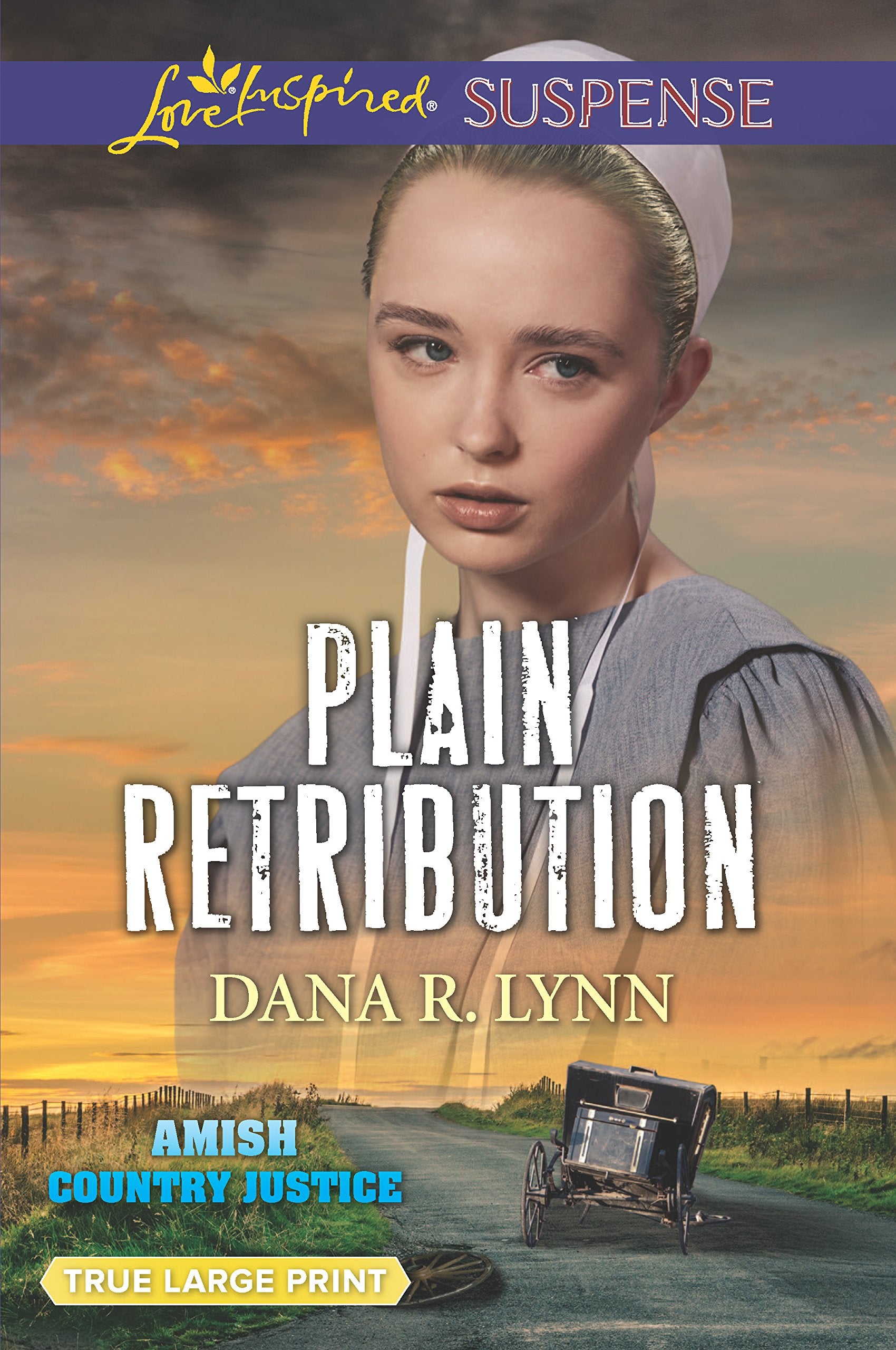 Plain Retribution (Amish Country Justice, 2),Used