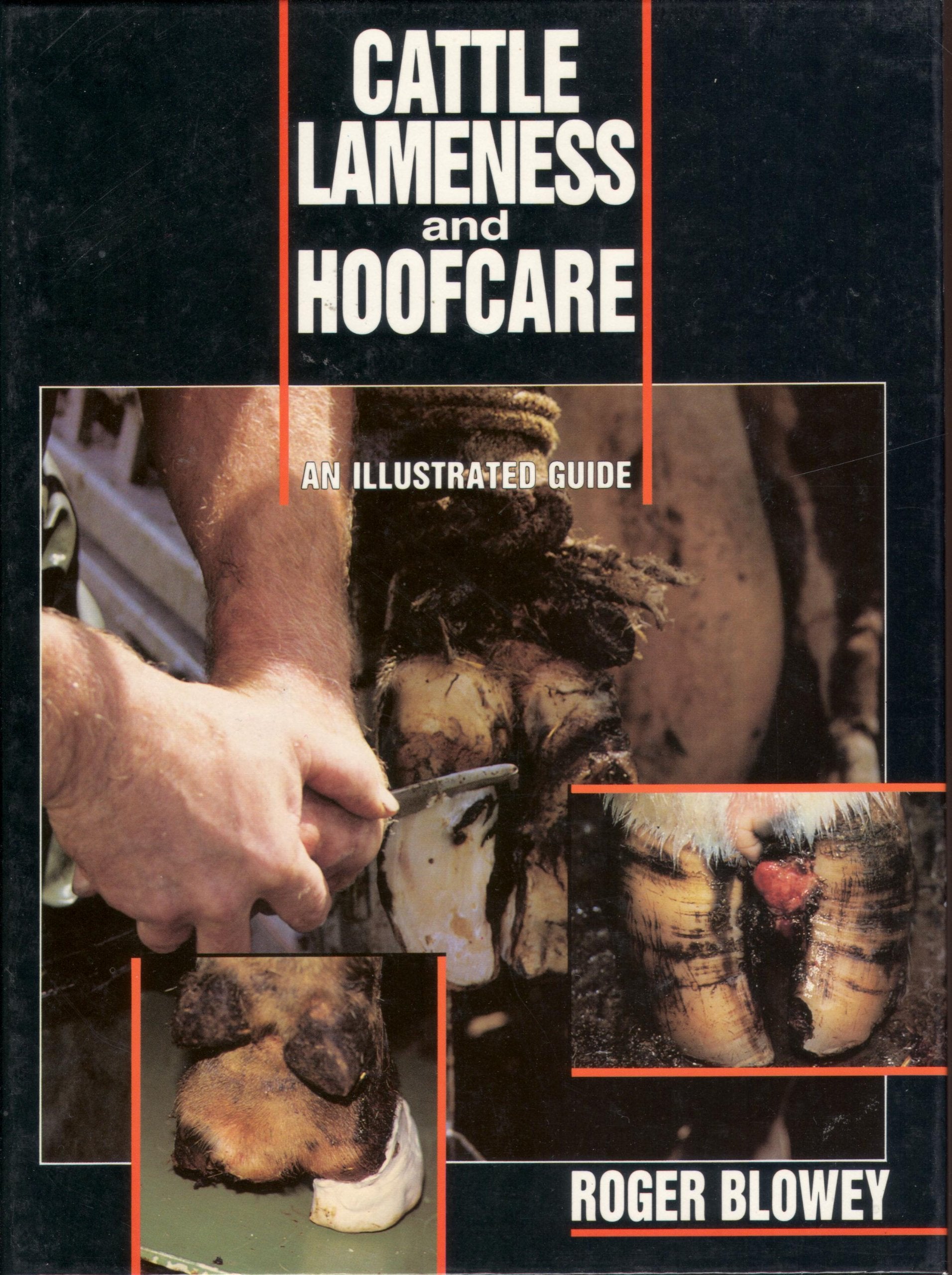 Cattle Lameness and Hoofcare: An Illustrated Guide,Used