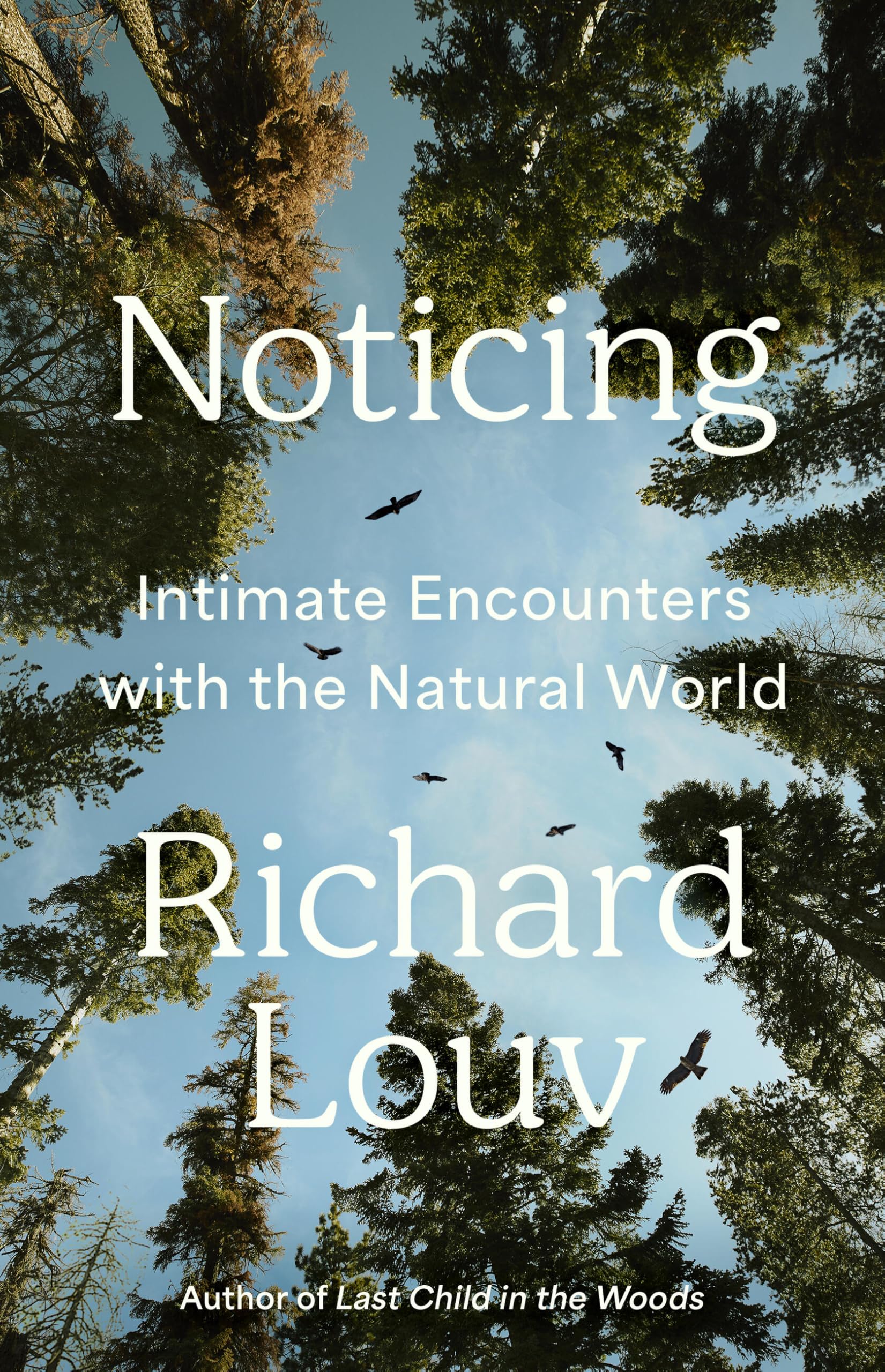Noticing: Intimate Encounters With The Natural World