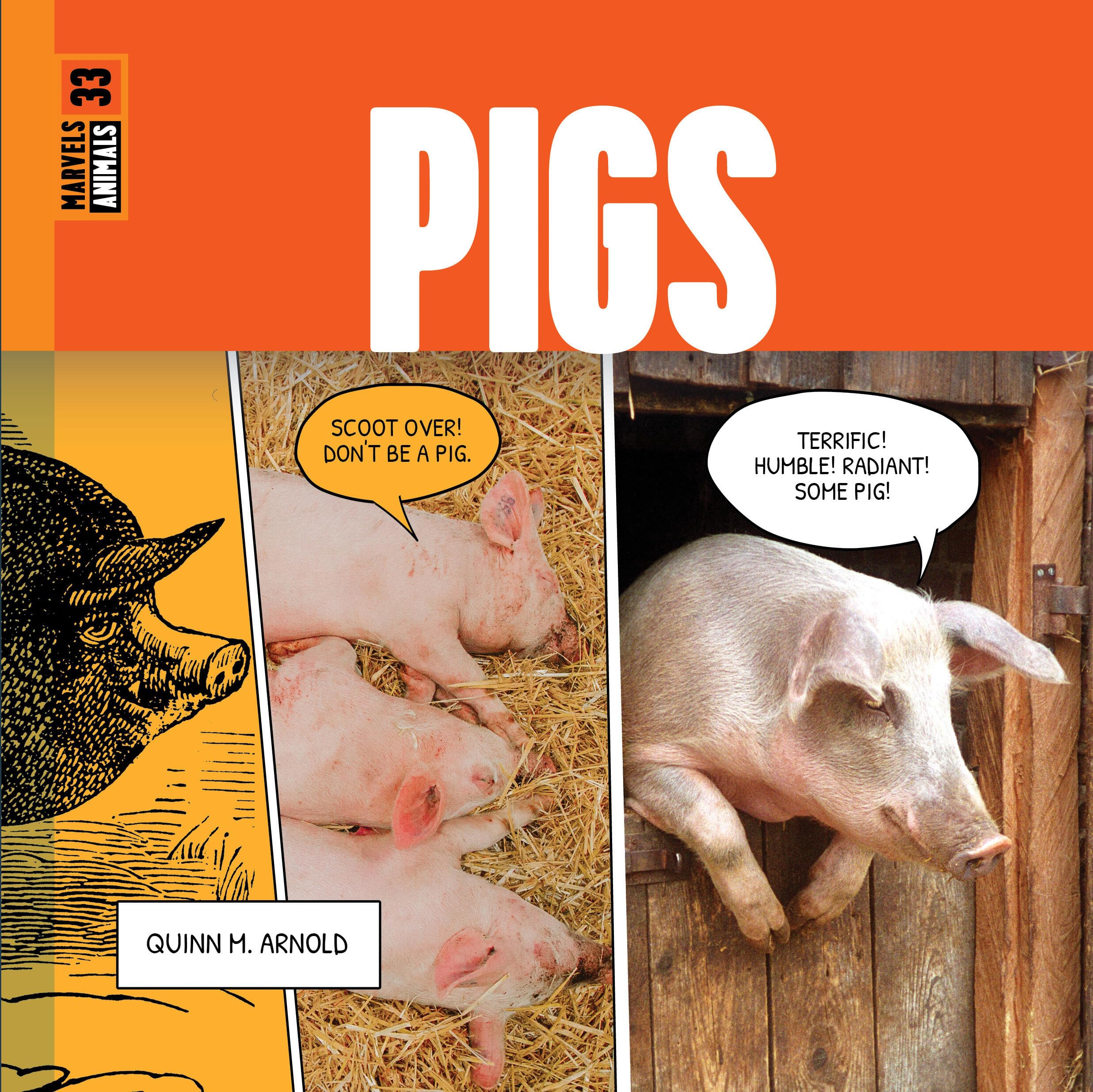 Pigs