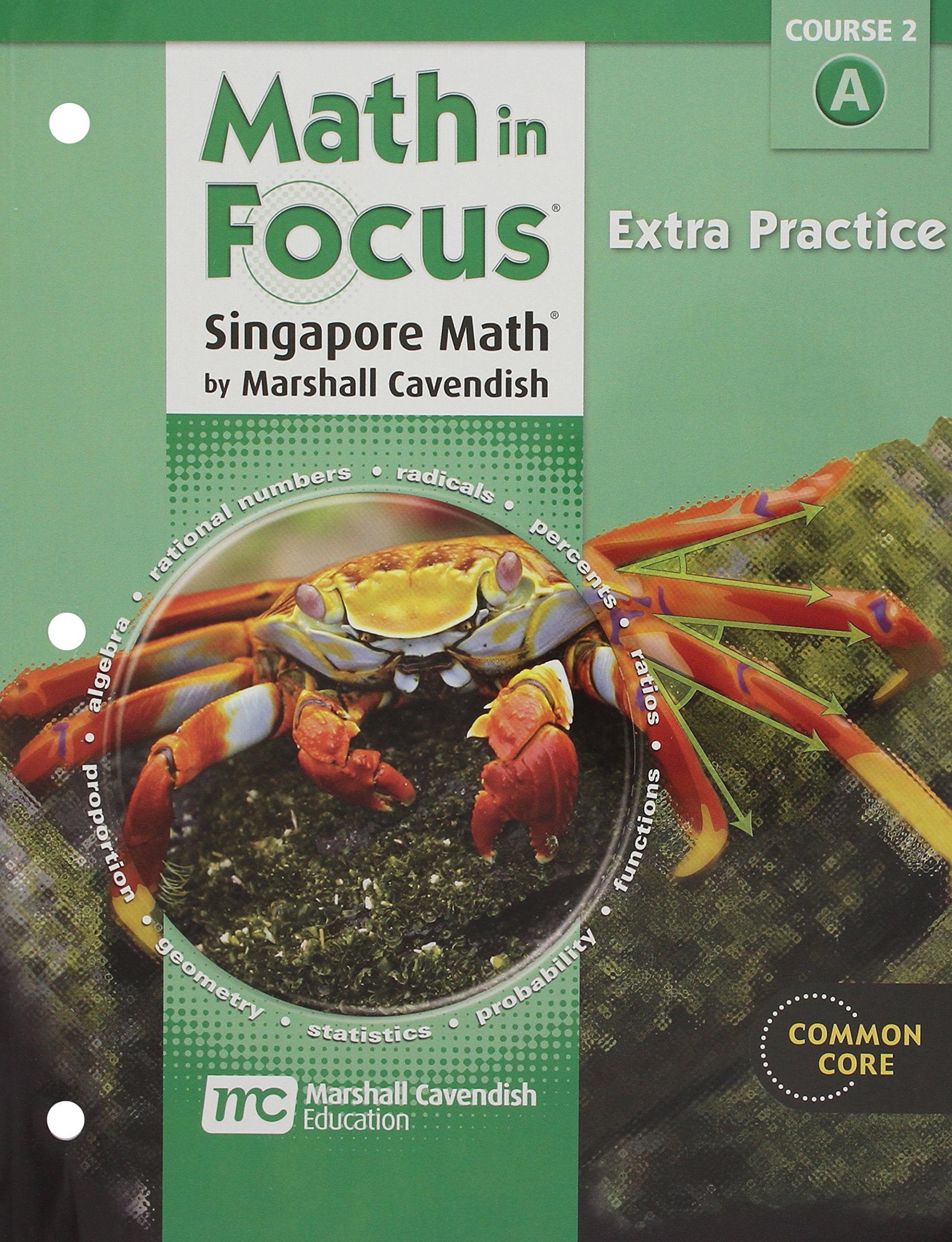 Math in Focus: Singapore Math: Extra Practice, Book a Course 2,Used