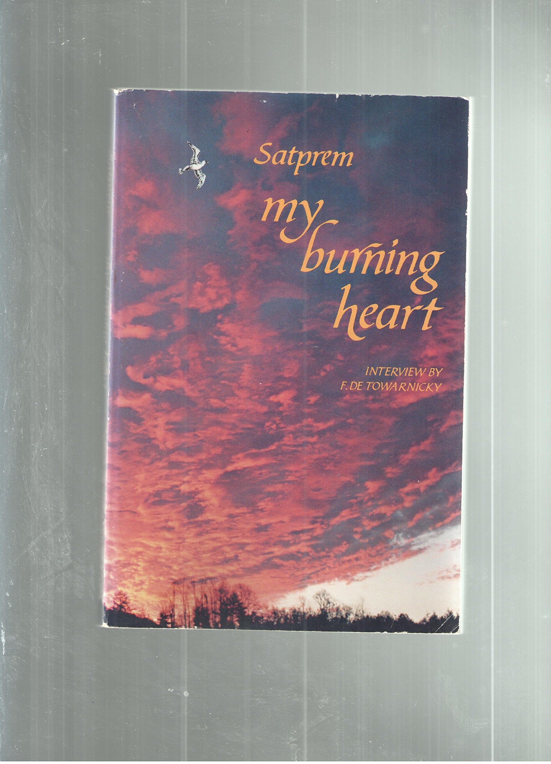 My Burning Heart (English and French Edition),Used