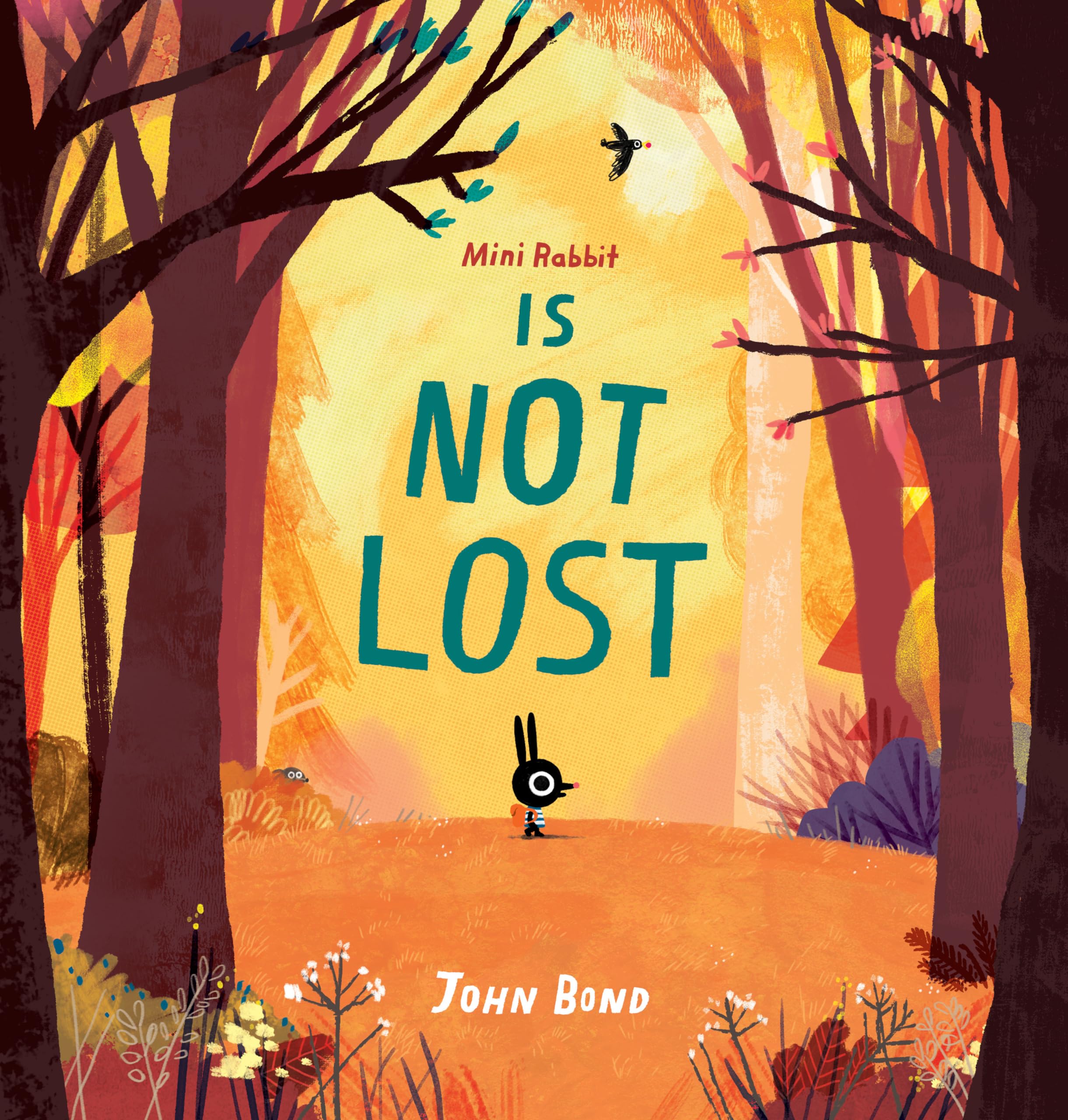 Mini Rabbit Is Not Lost,Used