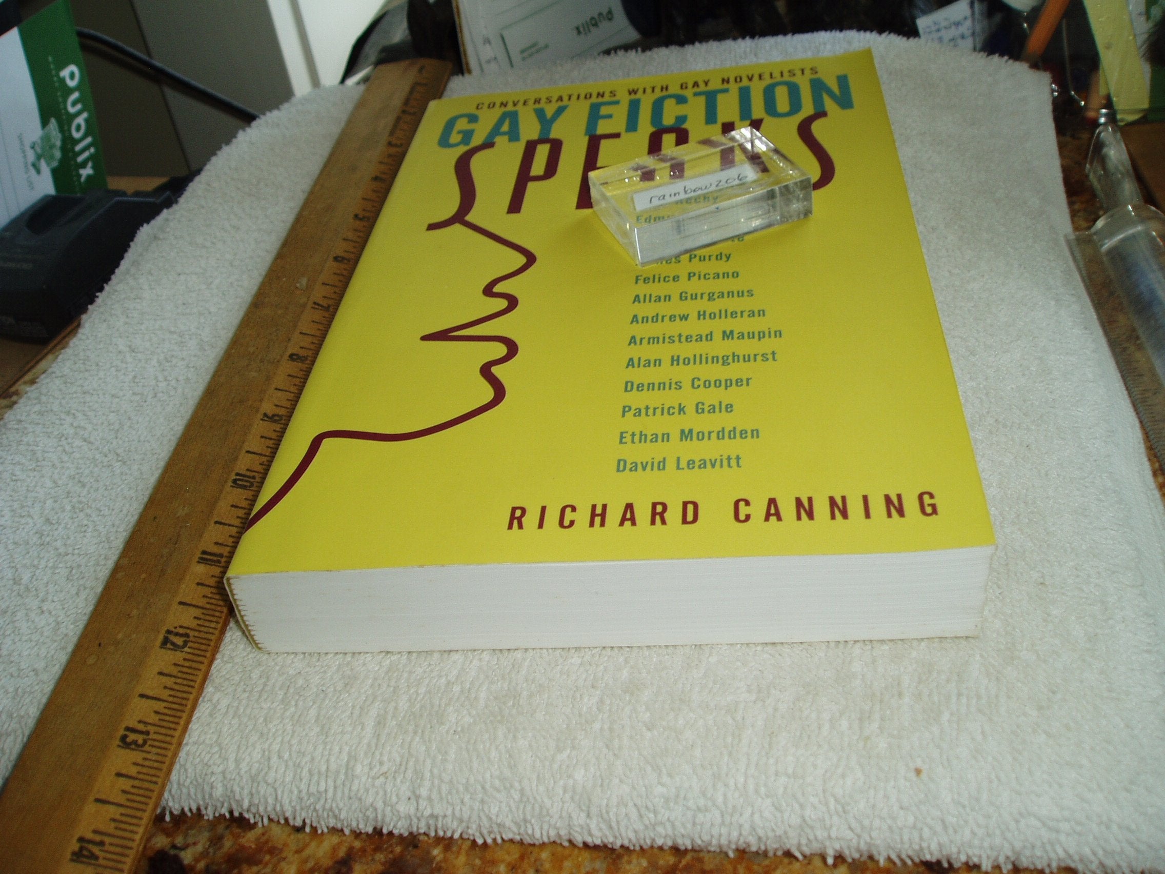 Gay Fiction Speaks,Used
